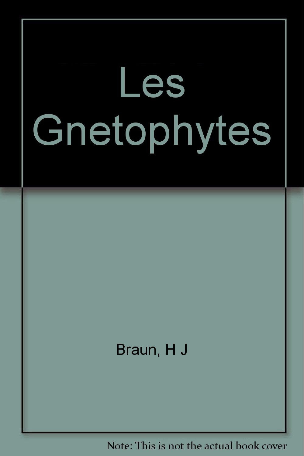 Handbuch der Pflanzenanatomie. Encyclopedia of plant anatomy. Traité d'anatomie végétale / Les Gnetophytes Medicine