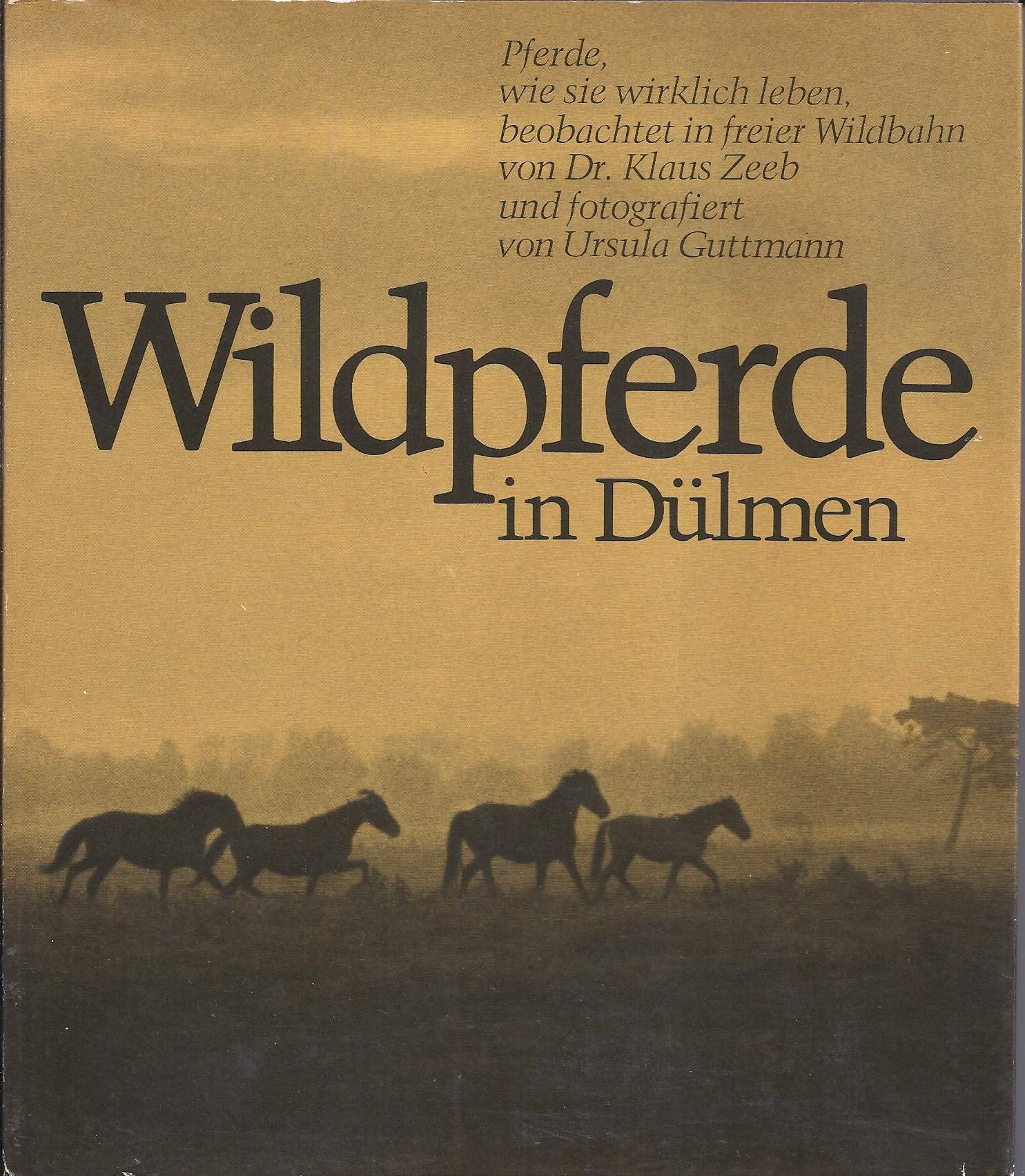 Wildpferde in Dülmen. Pferde wie sie wirklich leben, beobachtet in freier Wildbahn Books