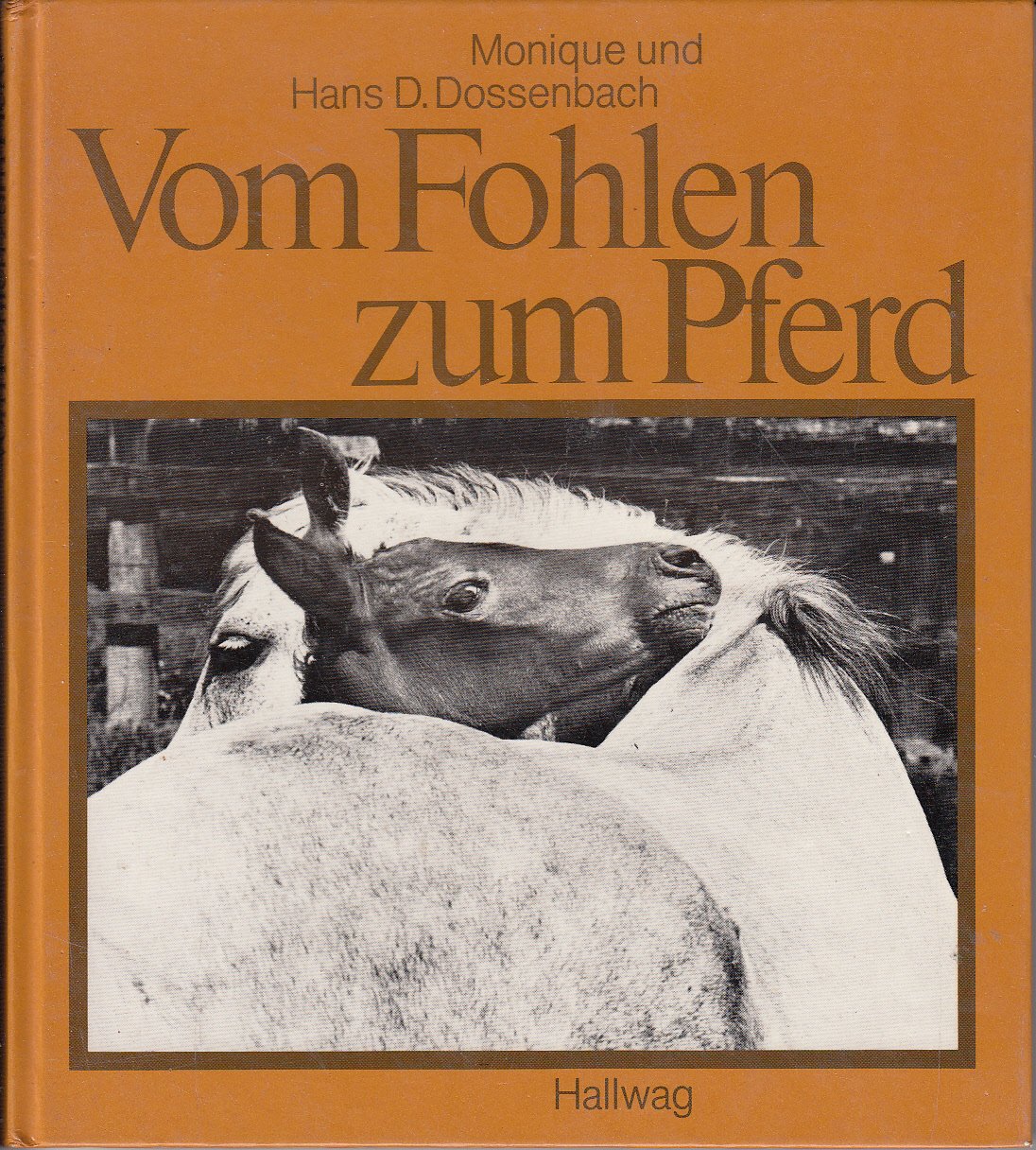 Vom Fohlen zum Pferd Books