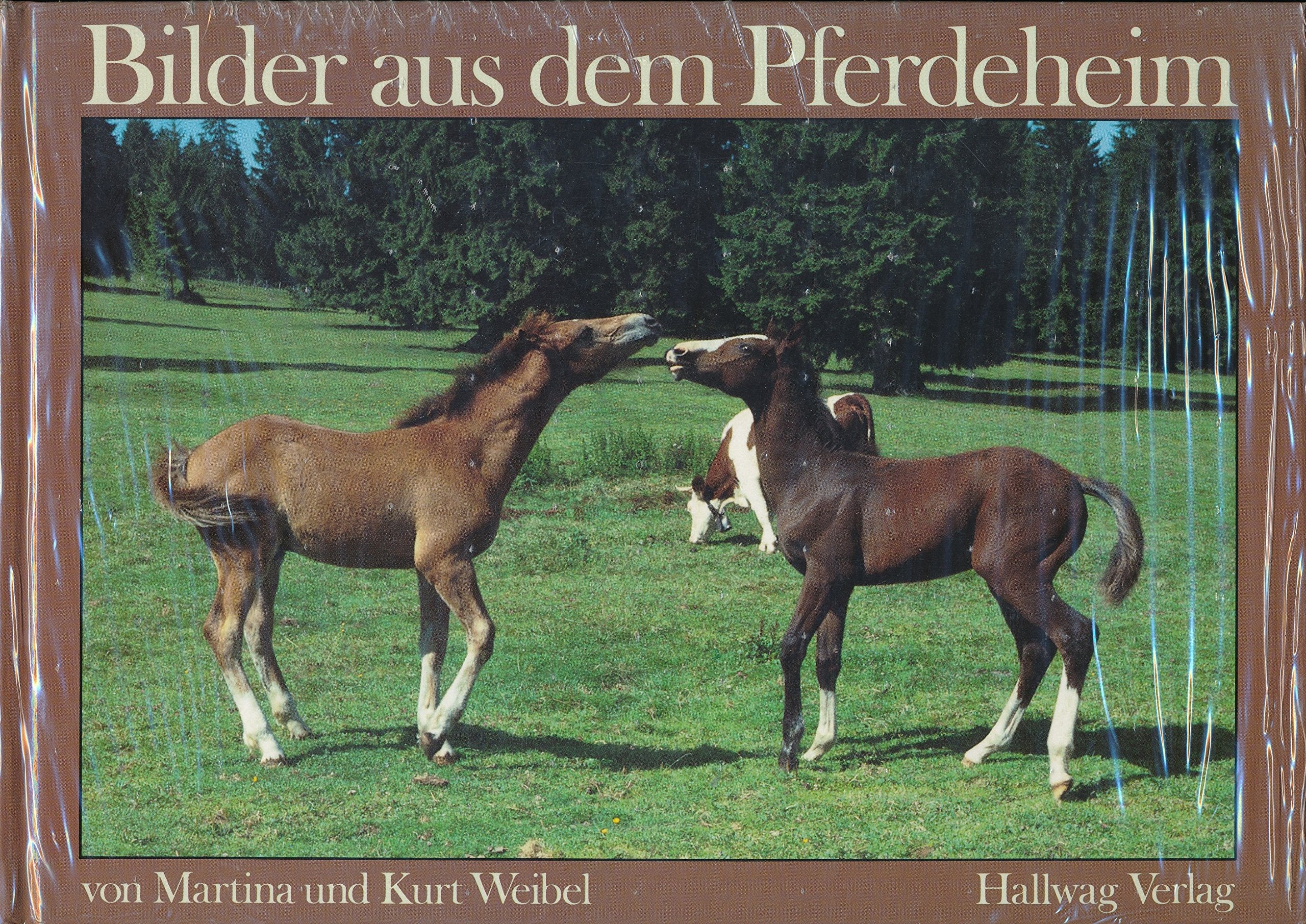Bilder aus dem Pferdeheim Pets