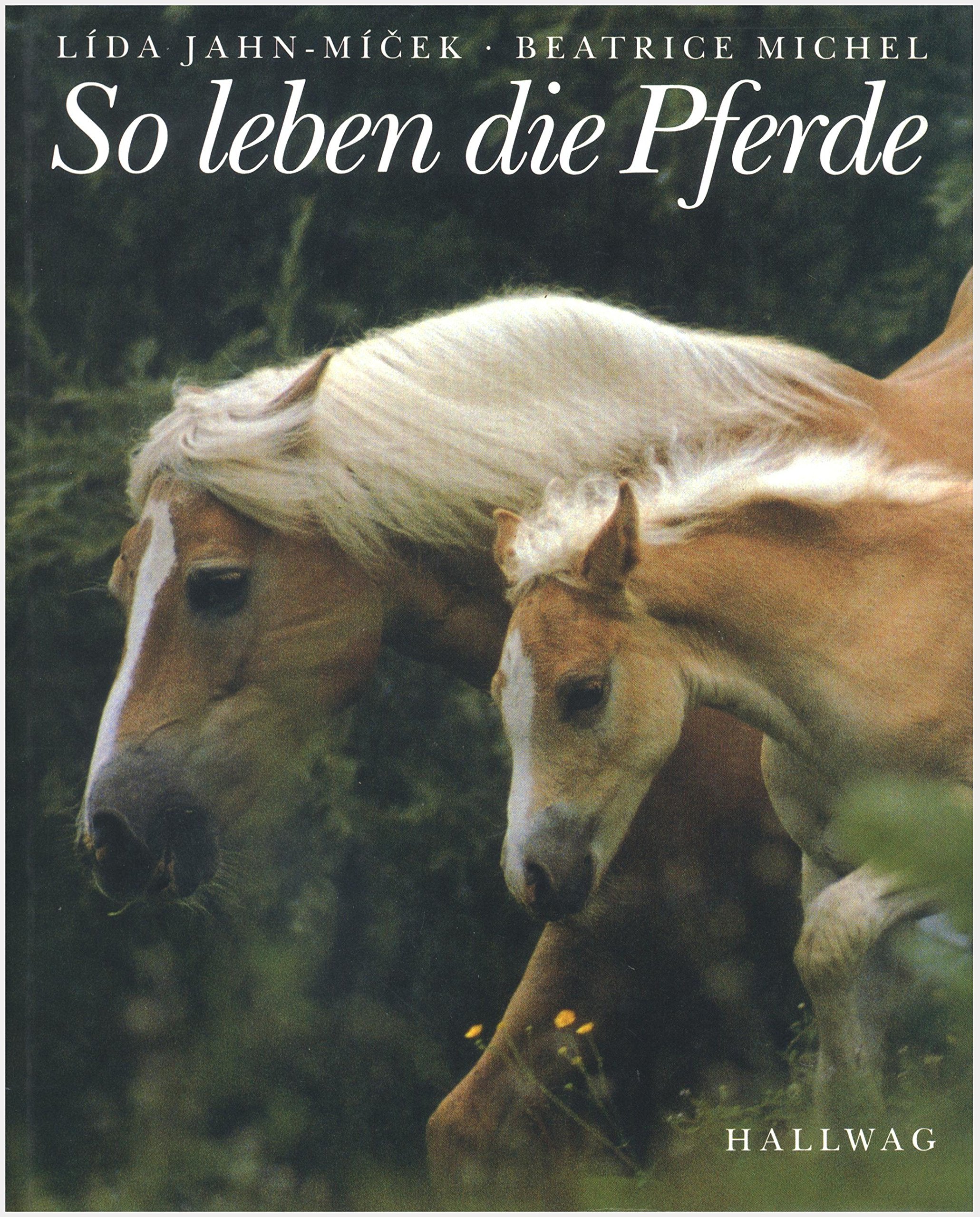 Product Image: So leben die Pferde