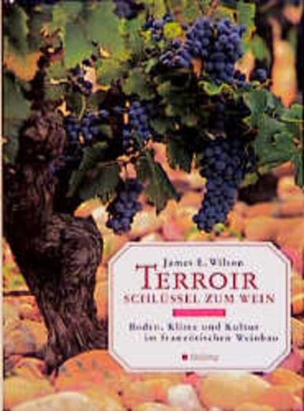 Terroir - Schlüssel zum Wein: Boden, Klima und Kultur im französischen Weinbau Leisure, Home & Garden