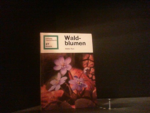Waldblumen Business & Technology