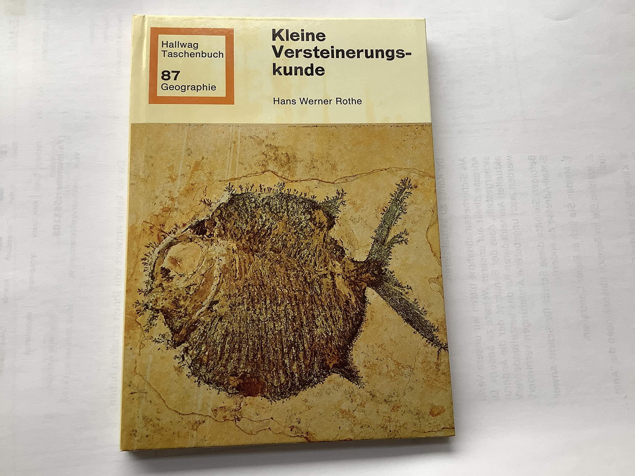 Kleine Versteinerungskunde Business & Technology