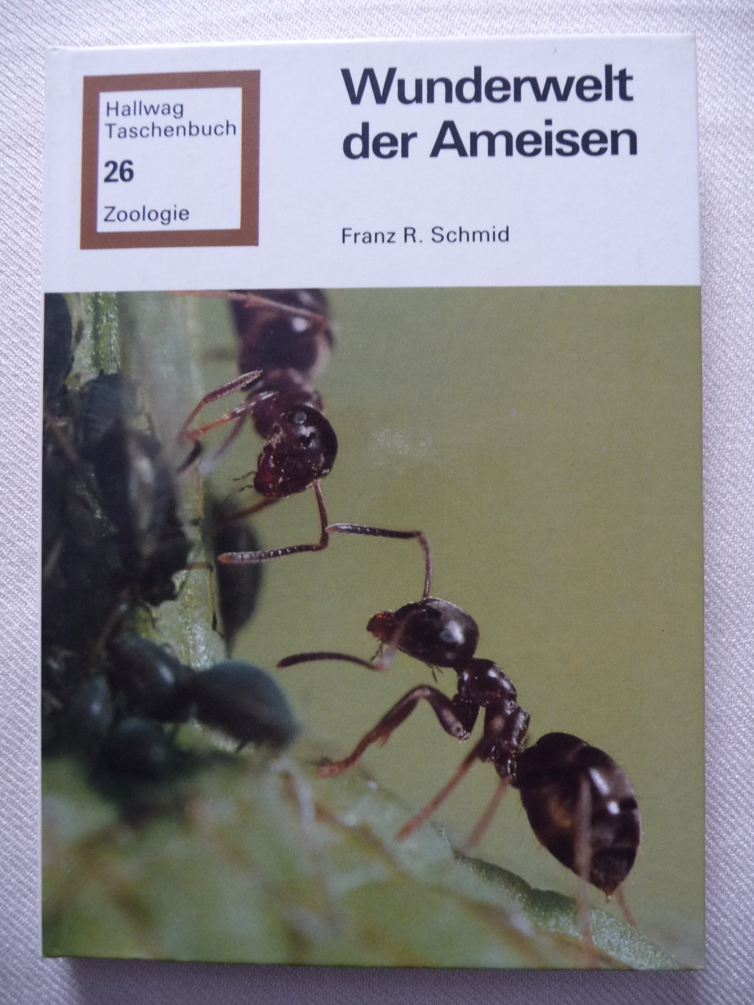 Wunderwelt der Ameisen Natural Sciences Books