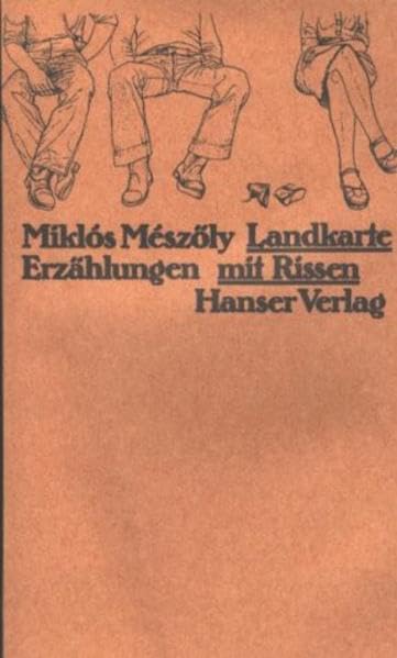 Landkarte mit Rissen: Erzählungen Contemporary literature