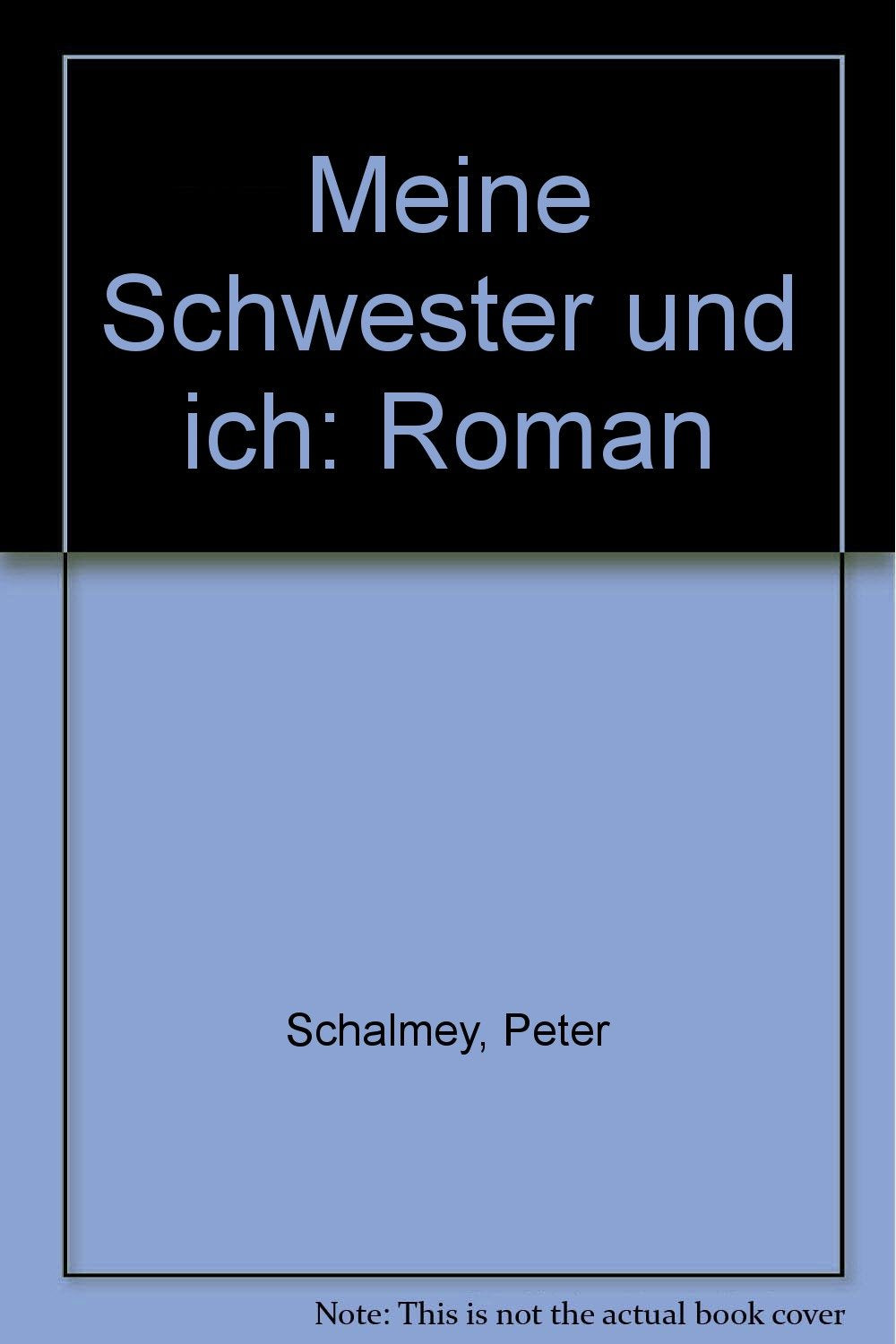 Meine Schwester und ich: Roman Contemporary literature