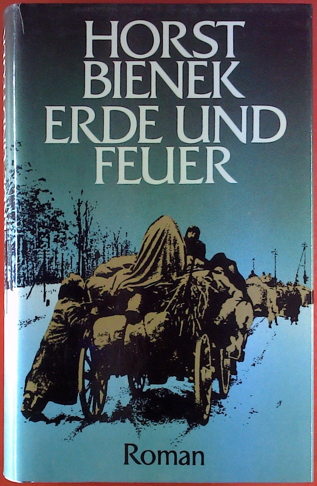 Erde und Feuer Contemporary literature Books