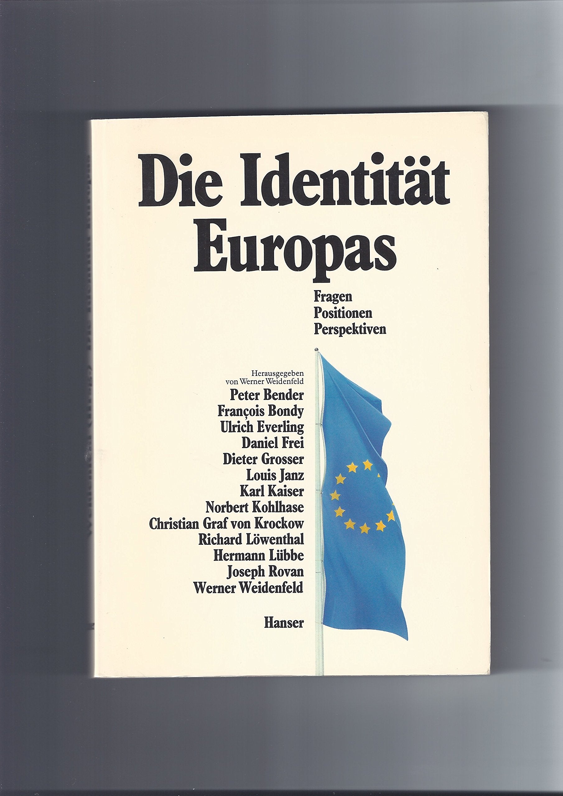 Die Identität Europas: Fragen - Positionen - Perspektiven Psychology