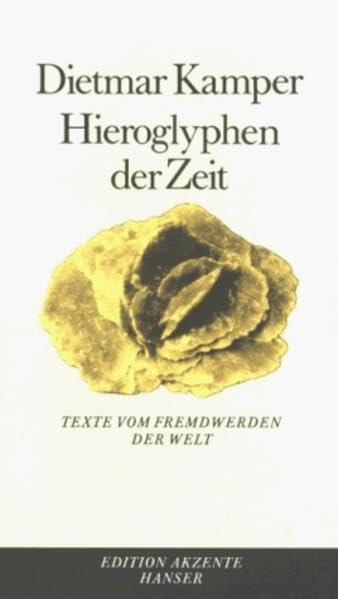 Hieroglyphen der Zeit: Texte vom Fremdwerden der Welt Philosophy