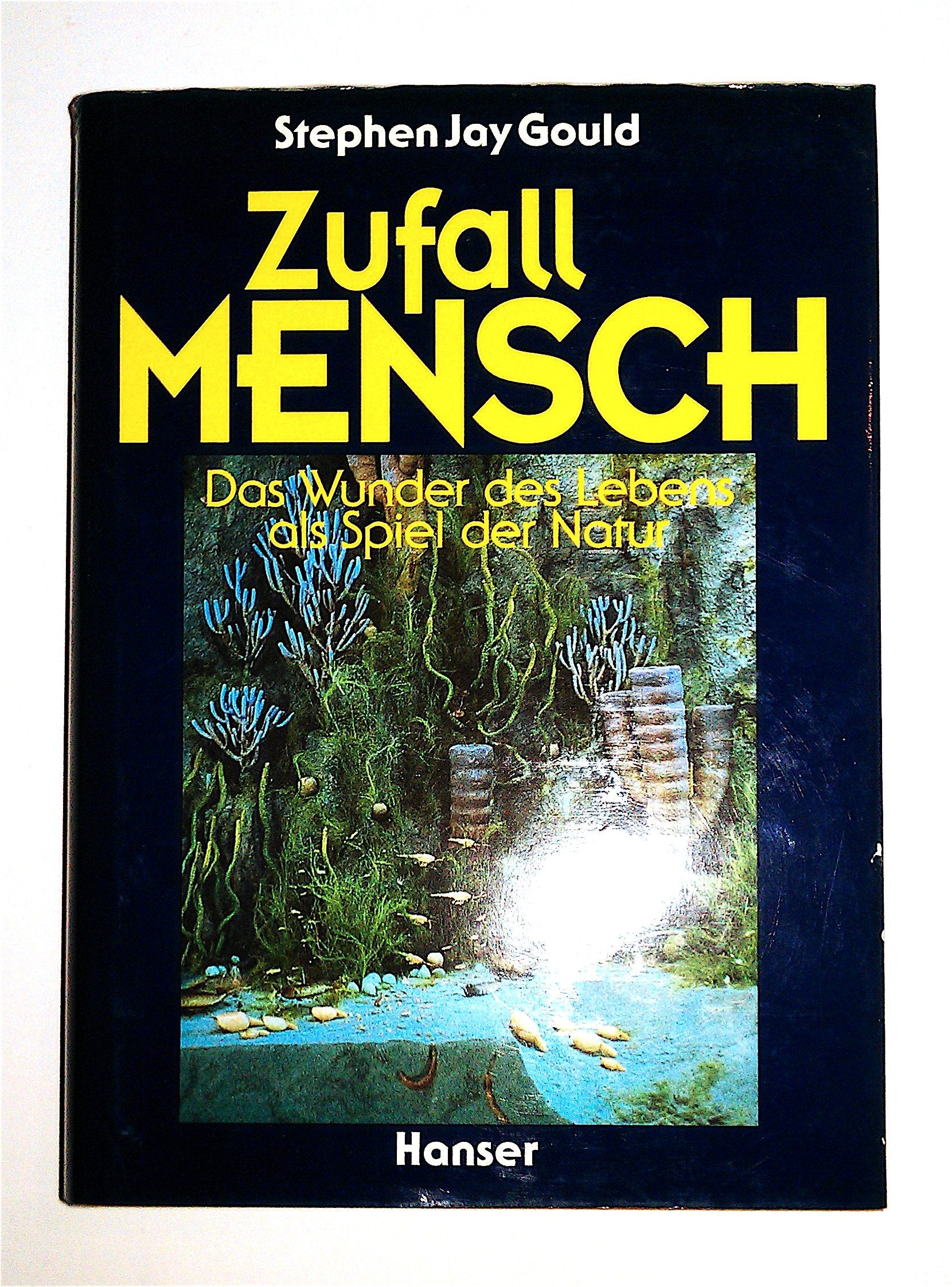 Zufall Mensch: Das Wunder des Lebens als Spiel der Natur Business & Technology