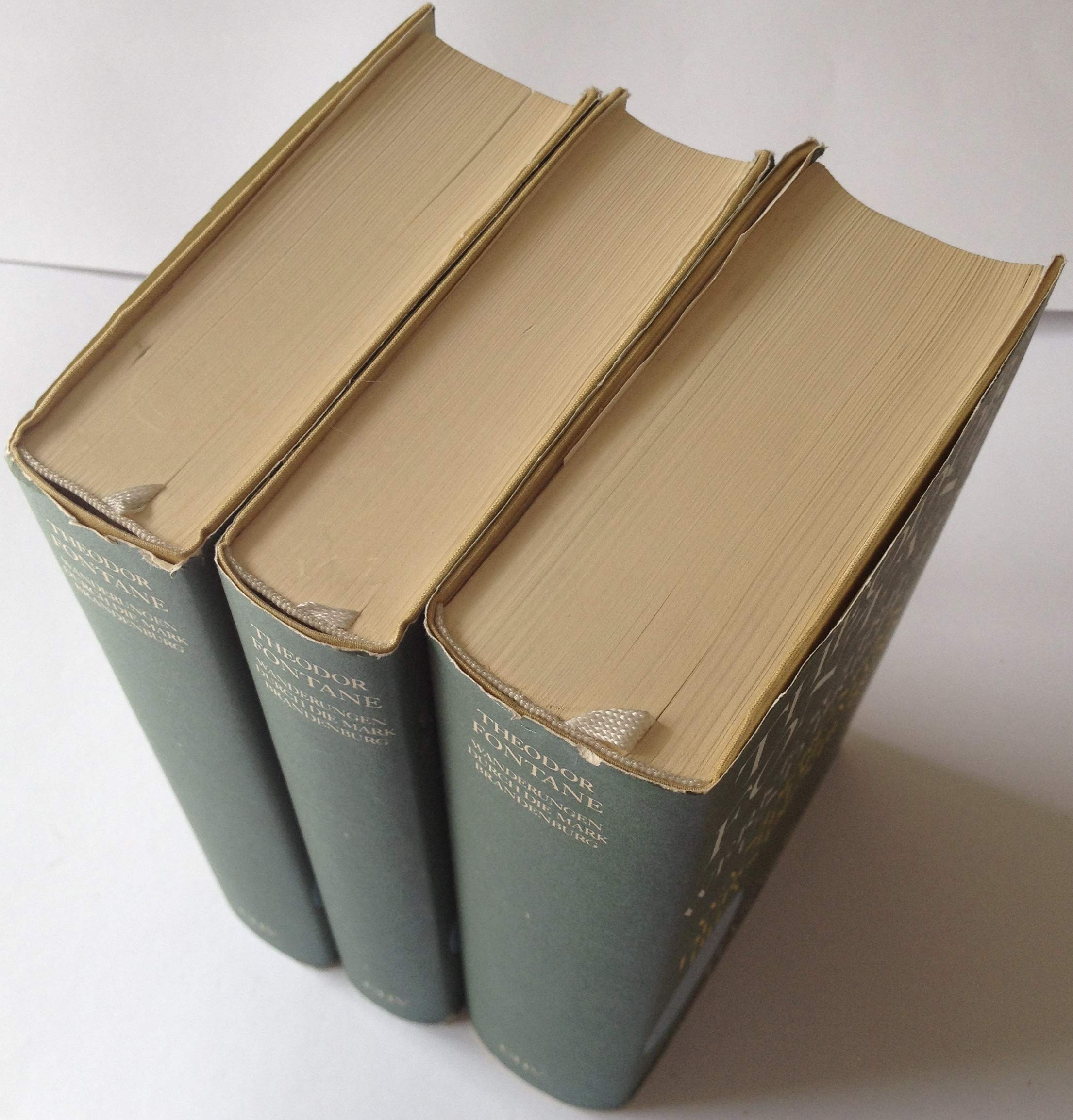 Wanderungen durch die Mark Brandenburg: Drei Bände Books