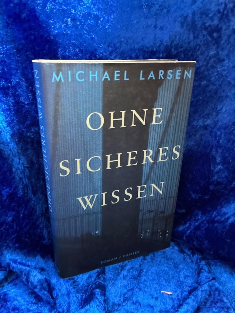 Ohne sicheres Wissen: Roman Contemporary literature