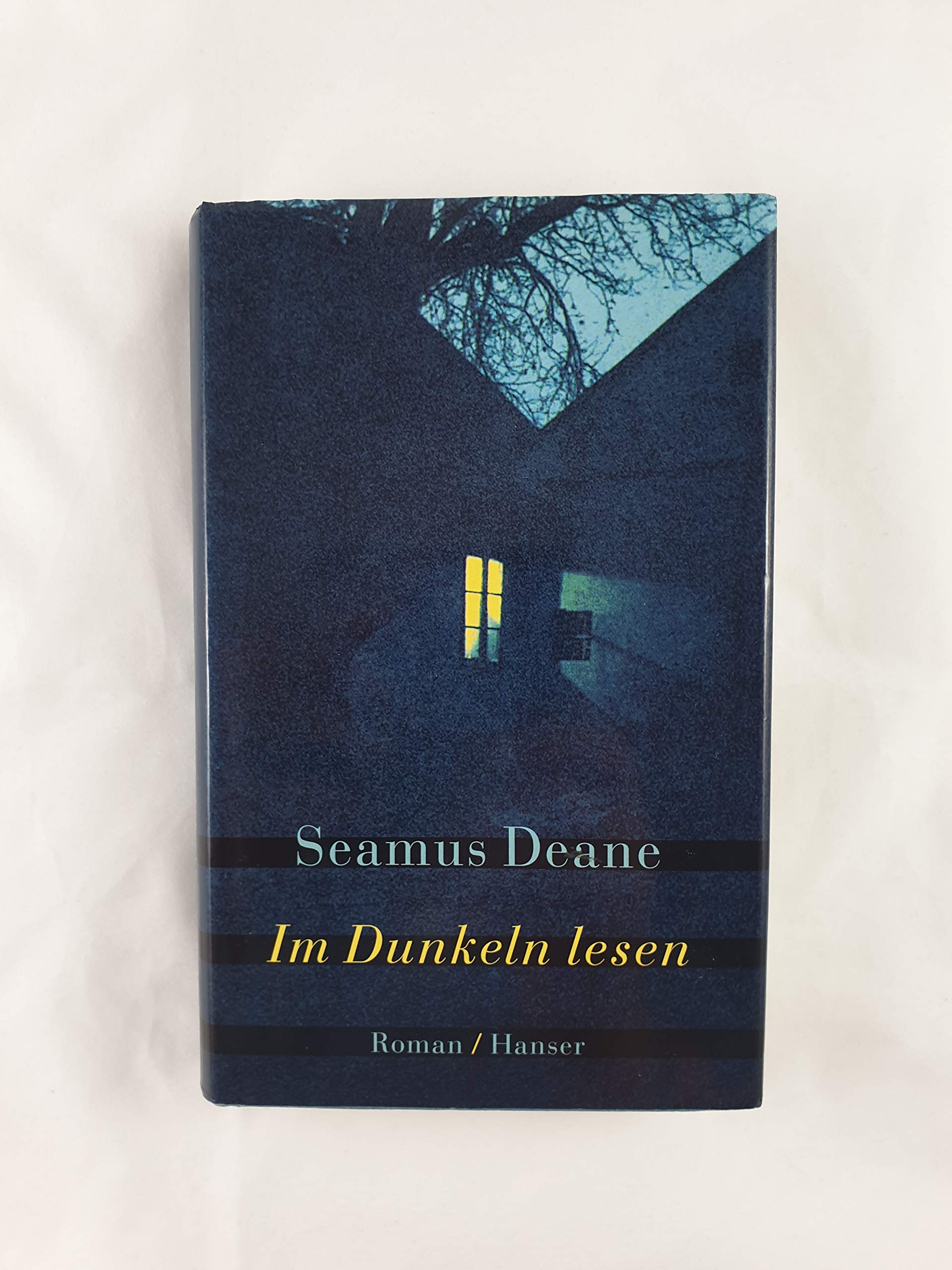 Im Dunkeln lesen: Roman Contemporary literature