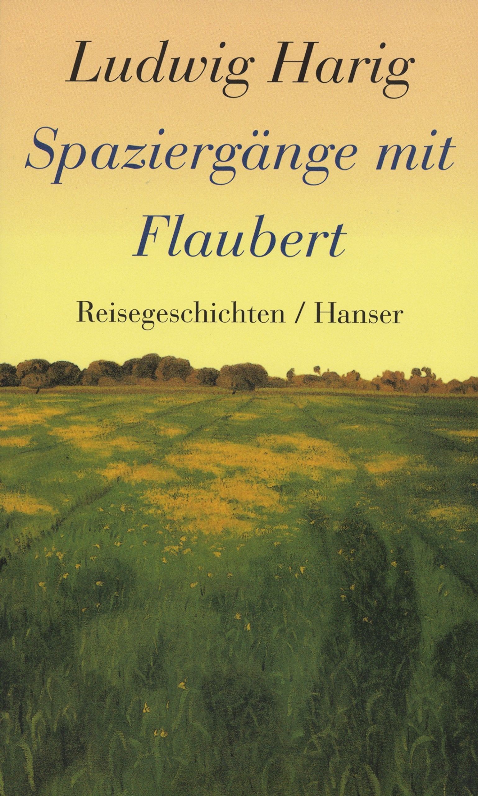 Spaziergänge mit Flaubert Essays & Short Stories