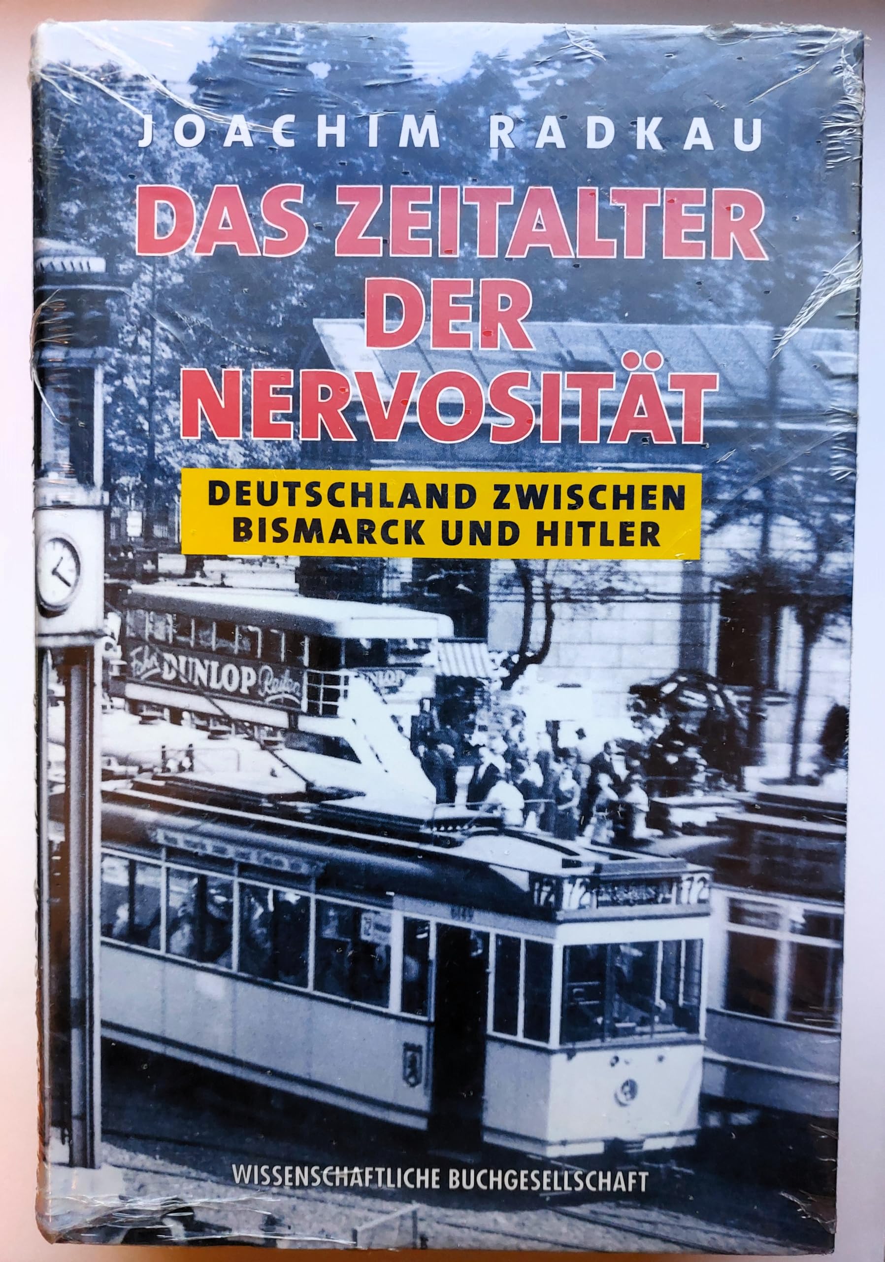 Das Zeitalter der Nervosität: Deutschland zwischen Bismarck und Hitler Politics & History