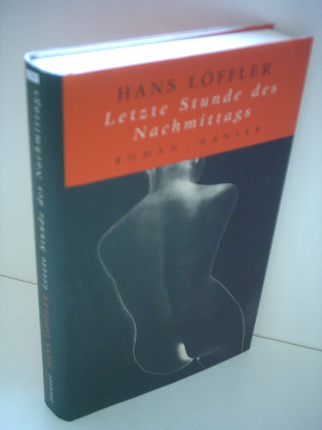 Letzte Stunde des Nachmittags: Roman Contemporary literature