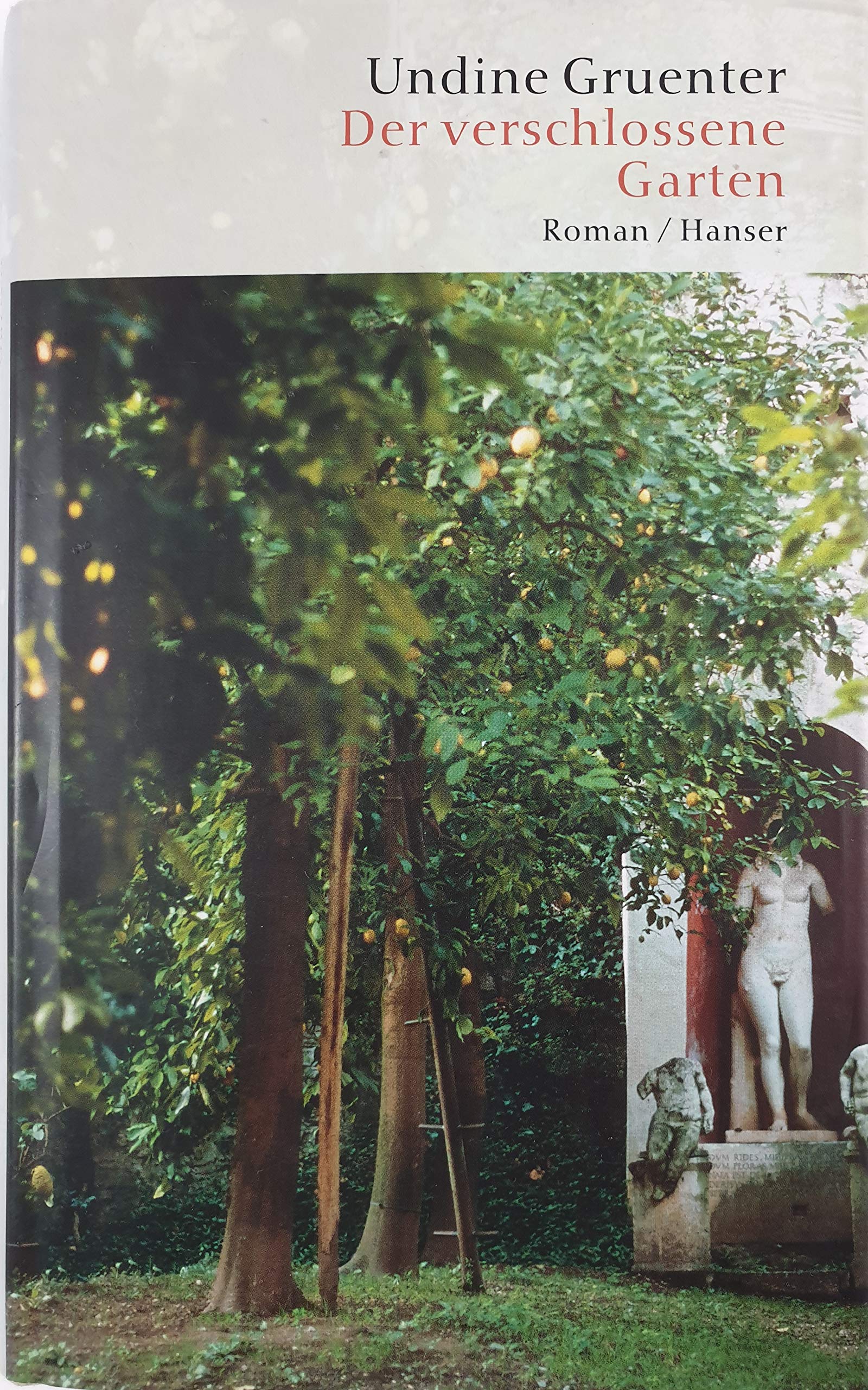 Der verschlossene Garten: Roman Contemporary literature
