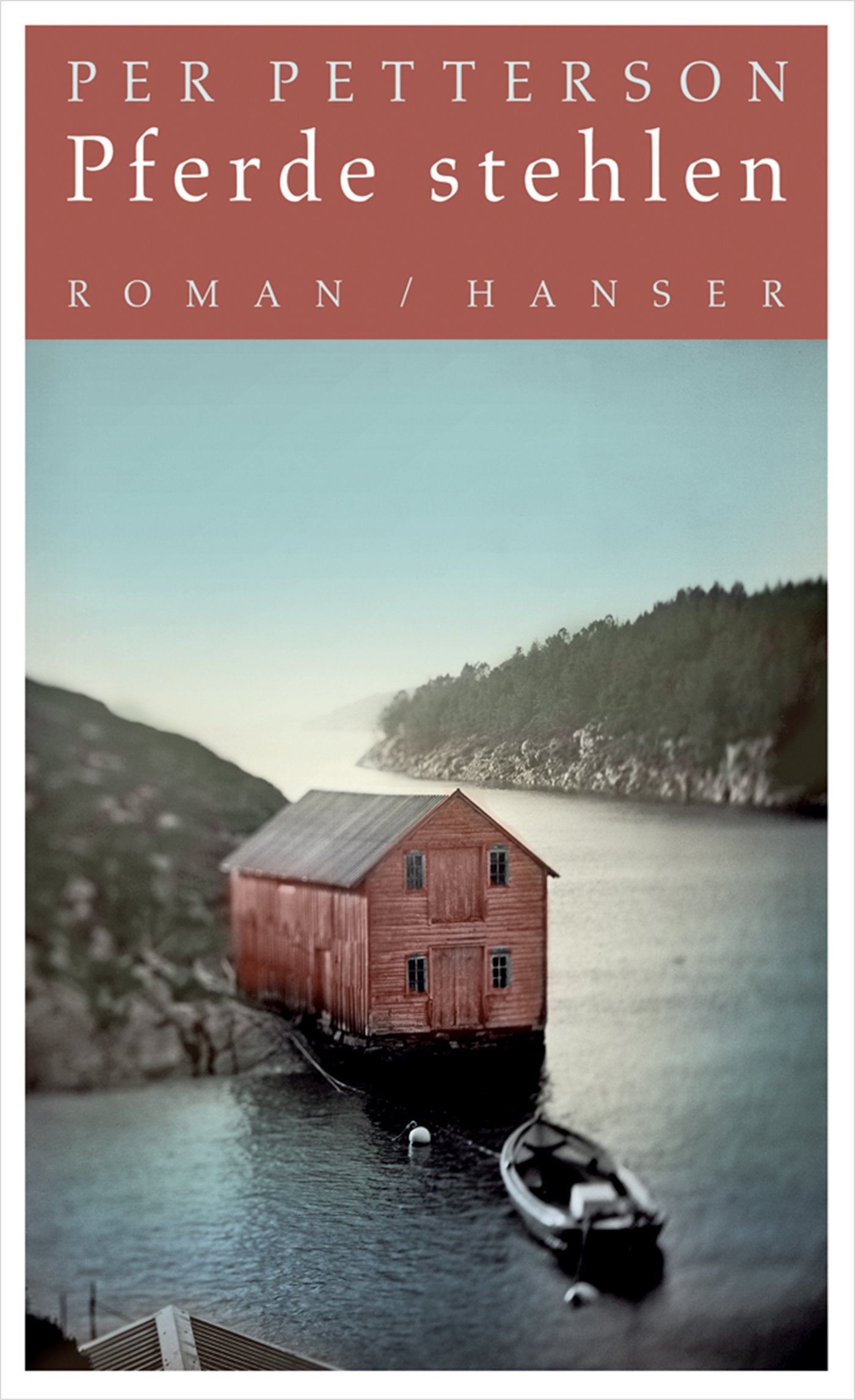 Pferde stehlen: Roman Contemporary literature Books