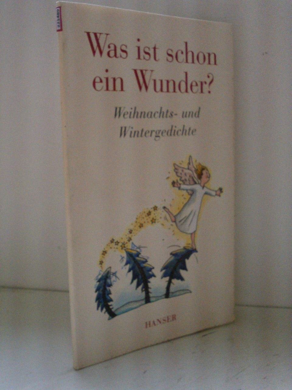 Was ist schon ein Wunder? - Weihnachts- und Wintergedichte Books