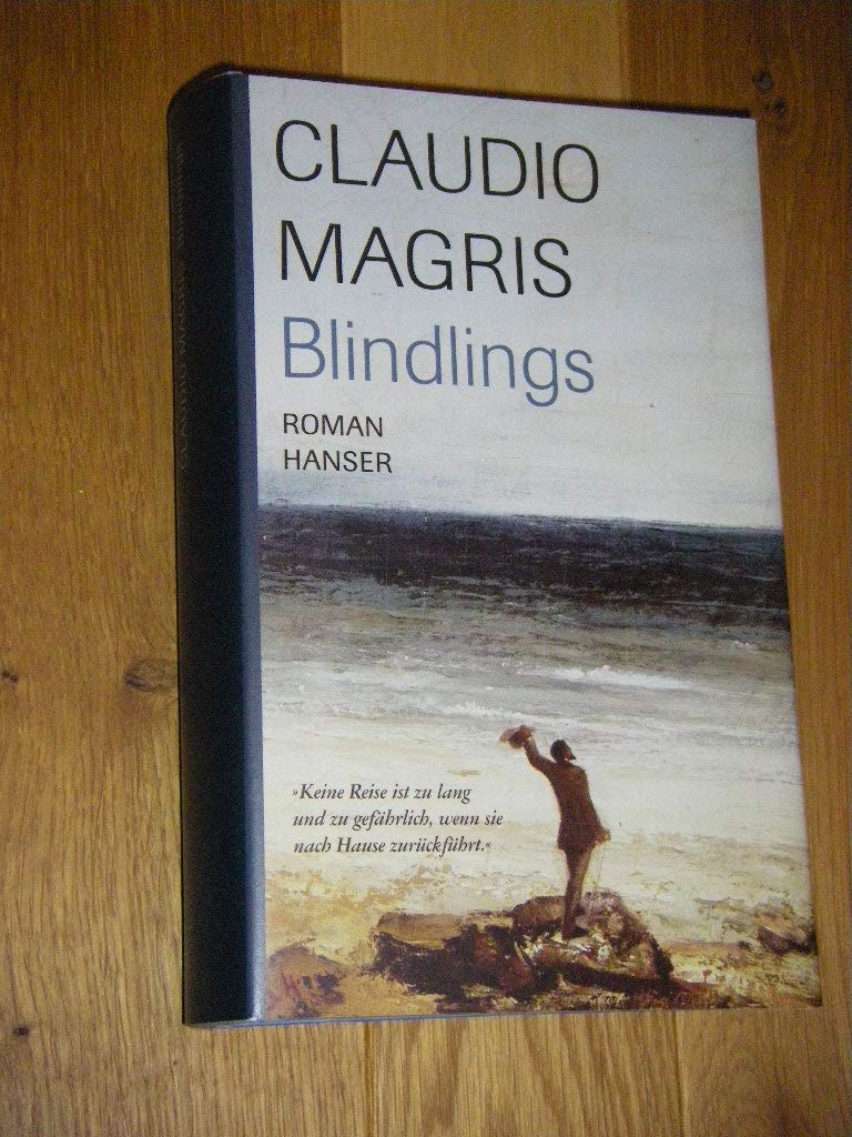 Blindlings: Roman Contemporary literature