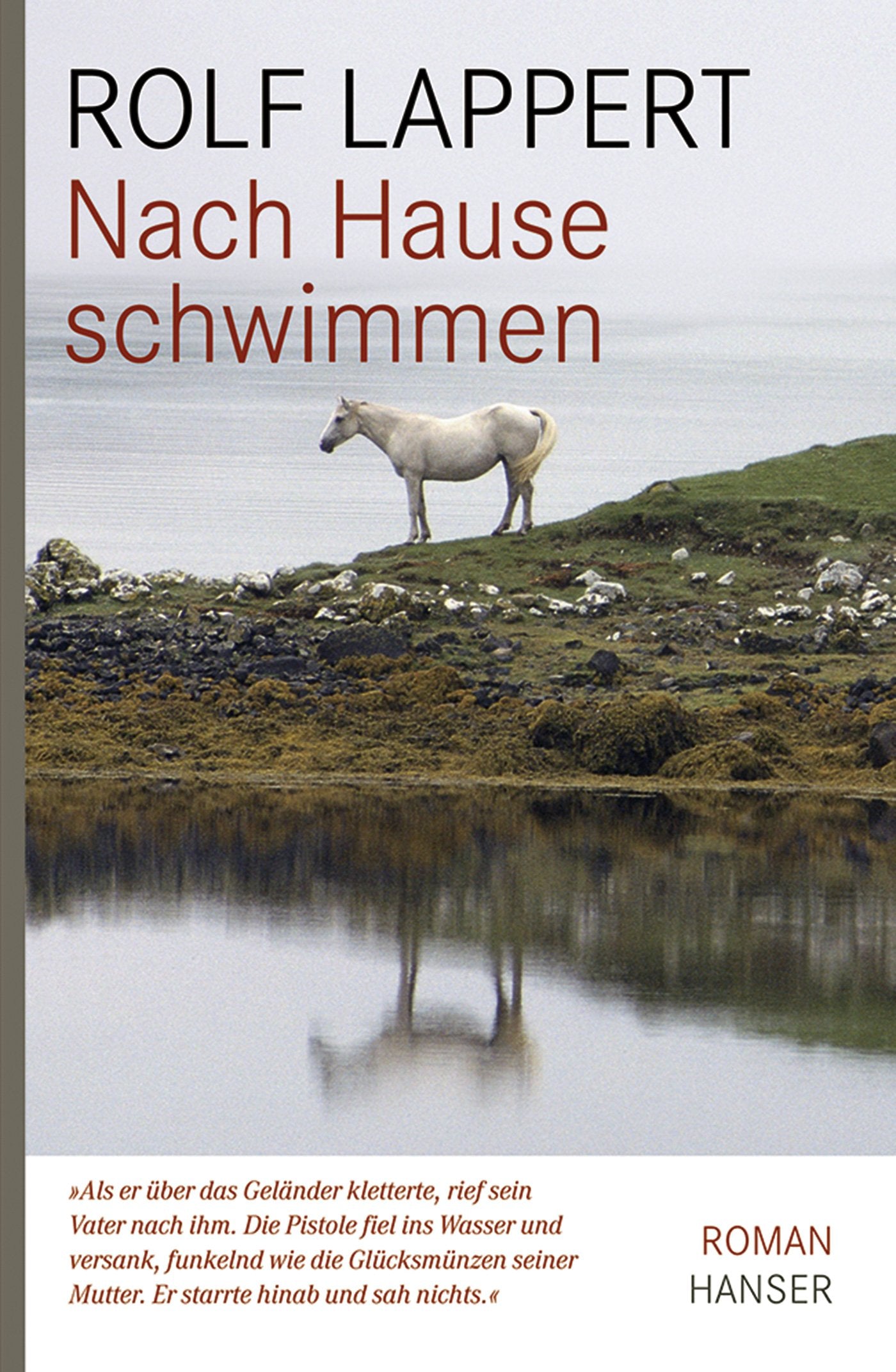 Nach Hause schwimmen Contemporary literature Books