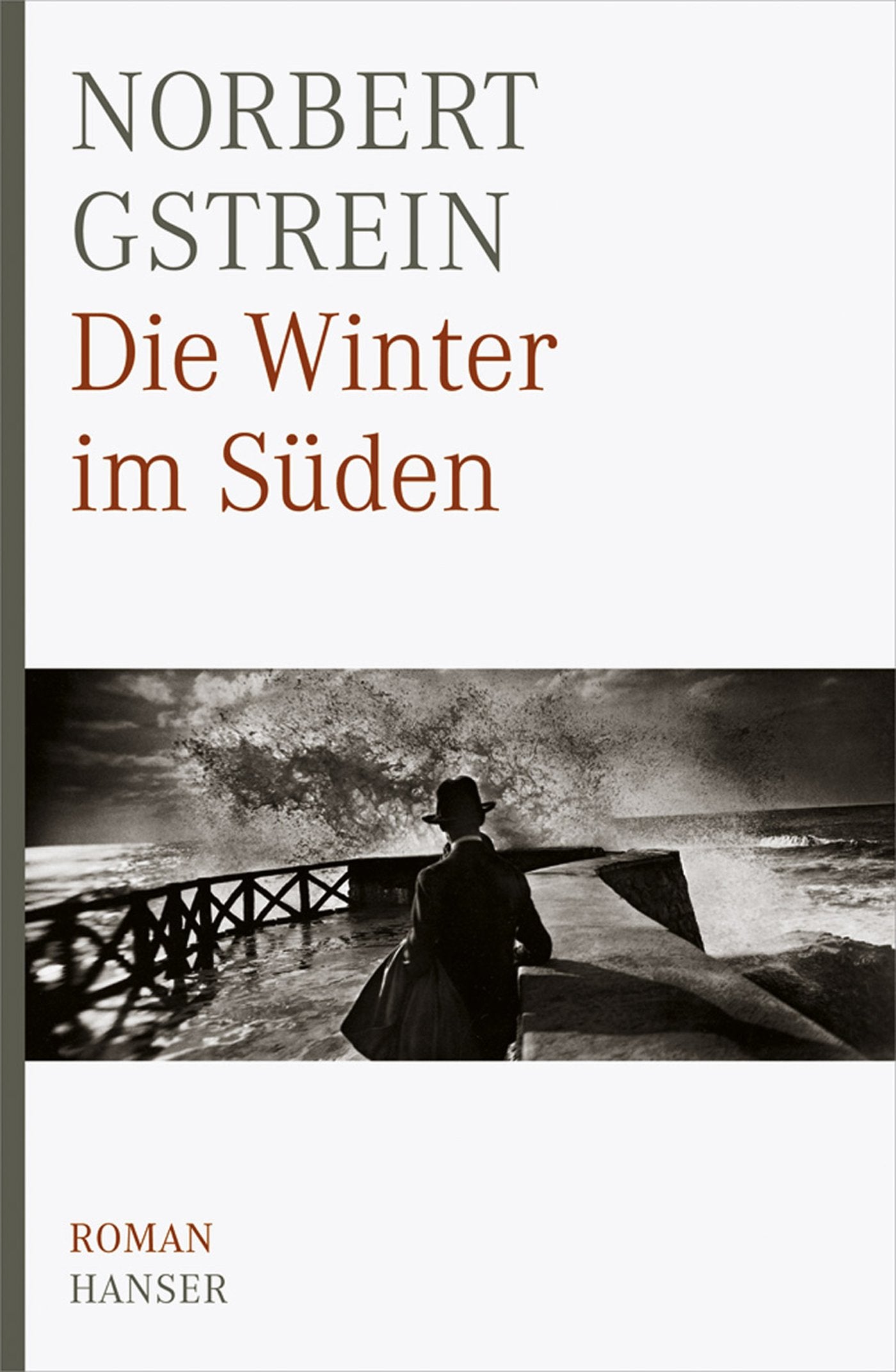 Die Winter im Süden Contemporary literature
