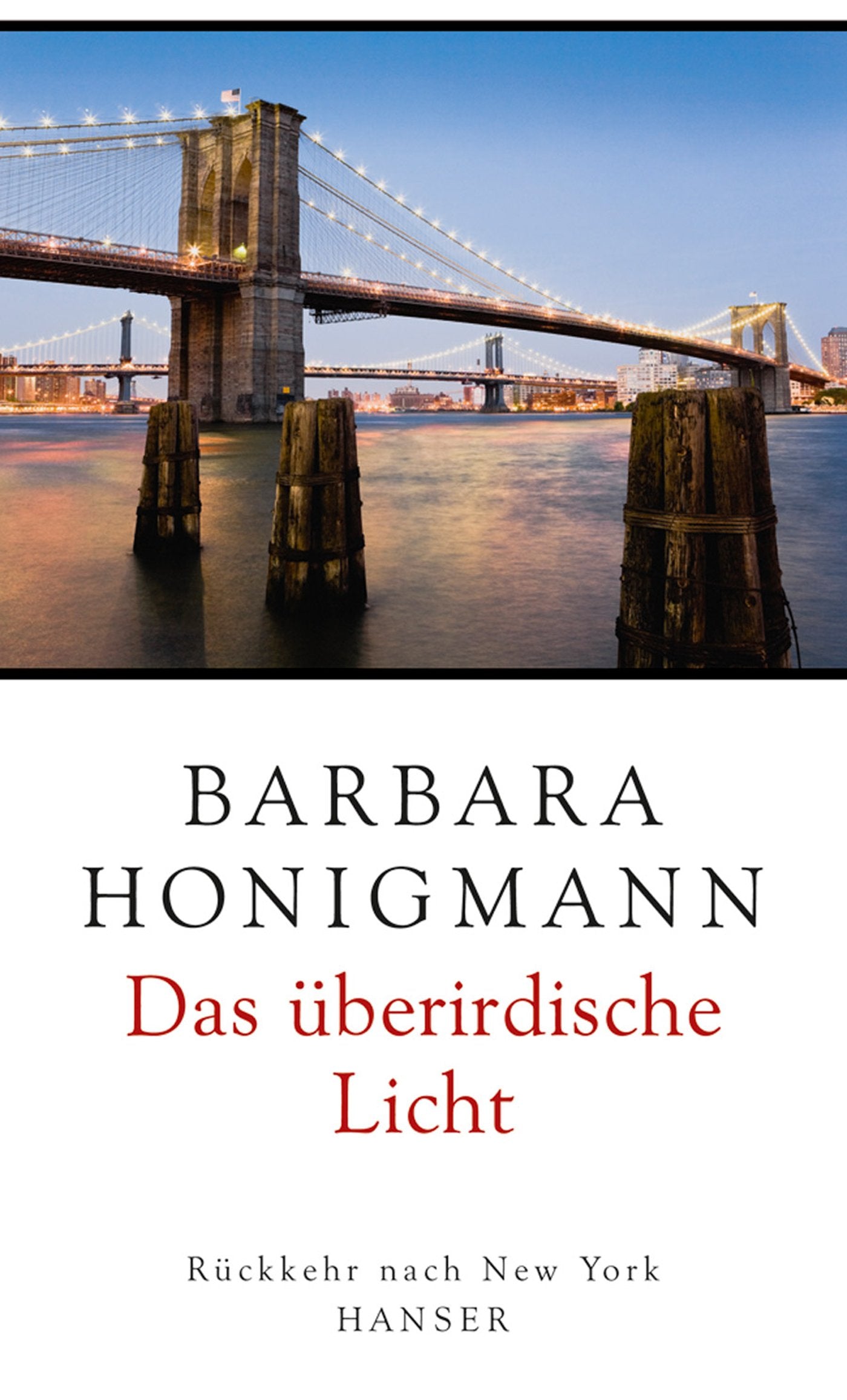 Das überirdische Licht Essays & Short Stories