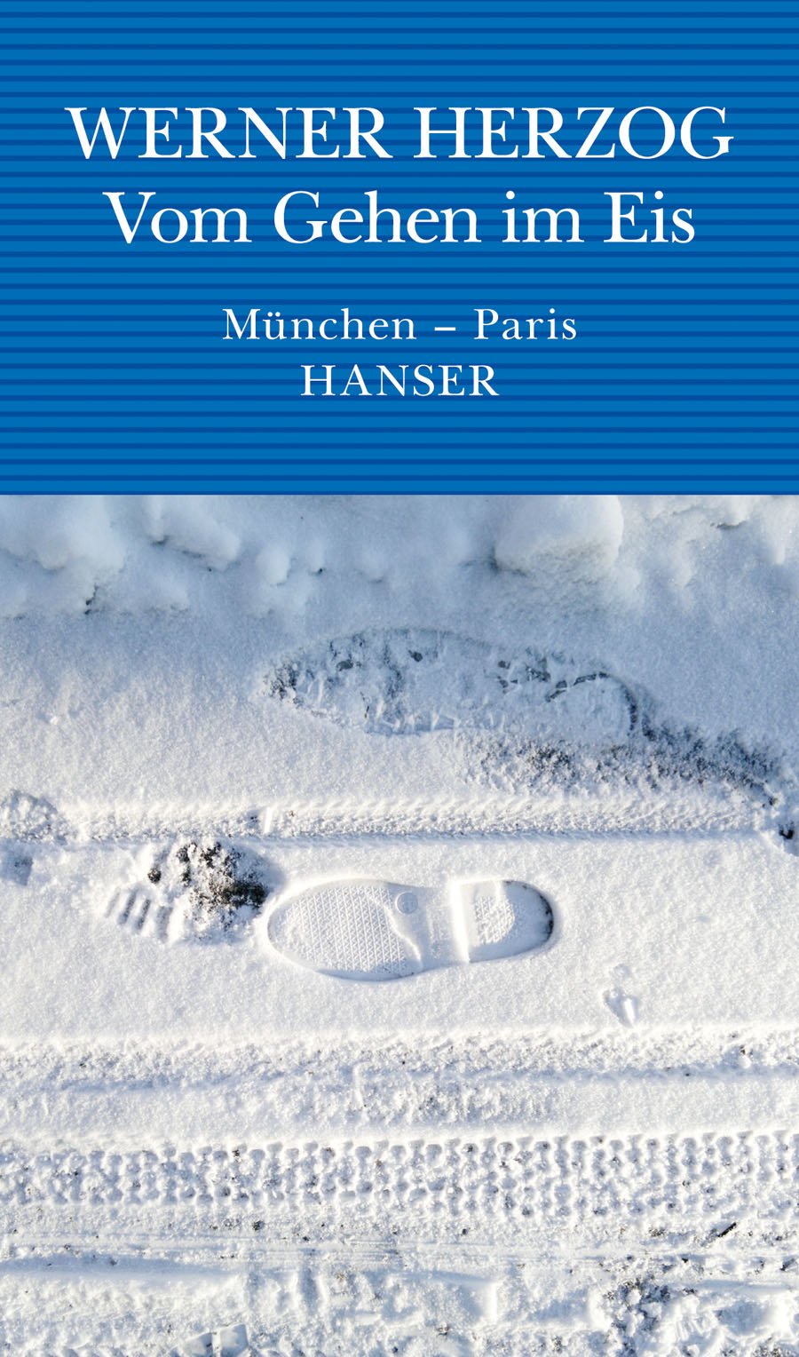 Vom Gehen im Eis Contemporary literature