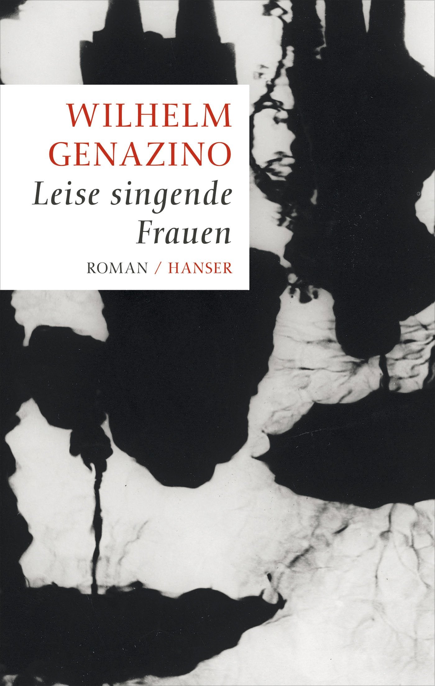 Leise singende Frauen: Roman Contemporary literature
