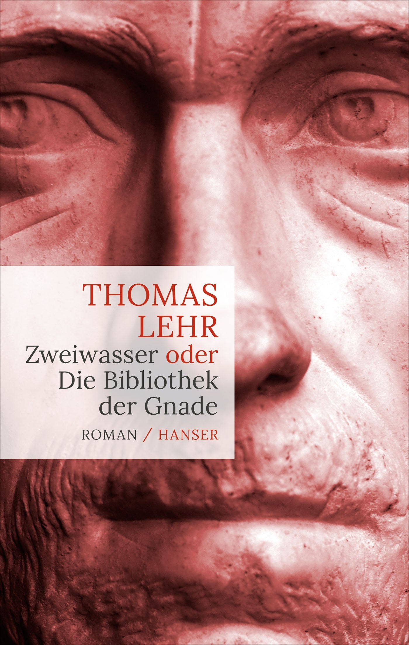 Zweiwasser Contemporary literature