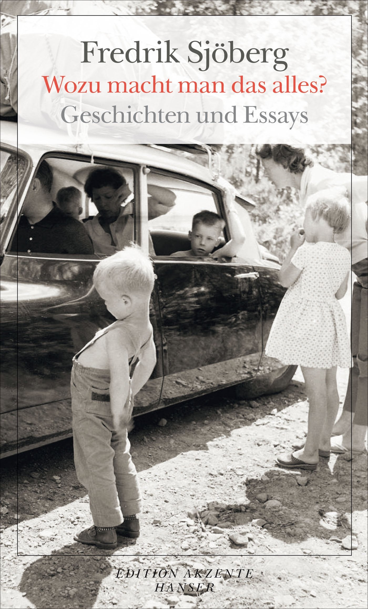 Wozu macht man das alles? Essays & Short Stories