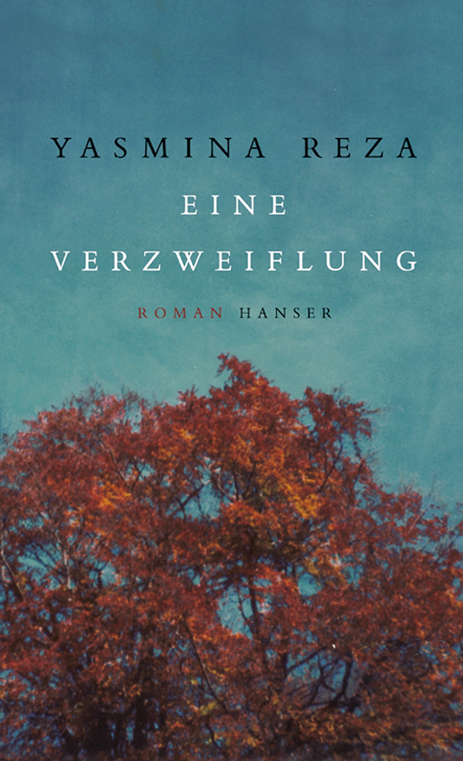 Product Image: Eine Verzweiflung