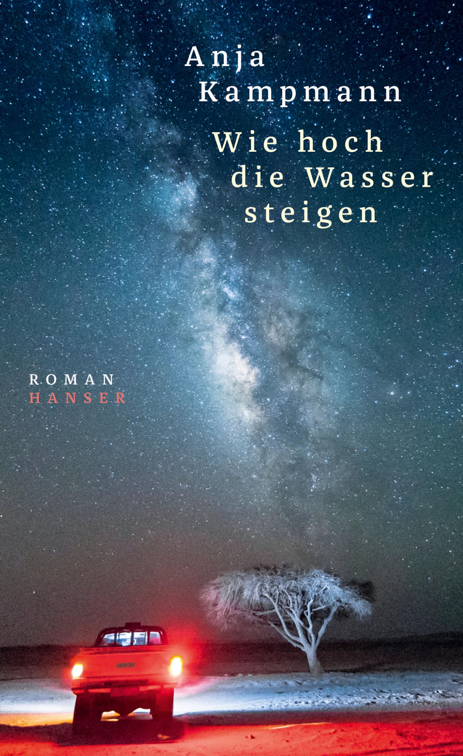 Wie hoch die Wasser steigen Contemporary literature