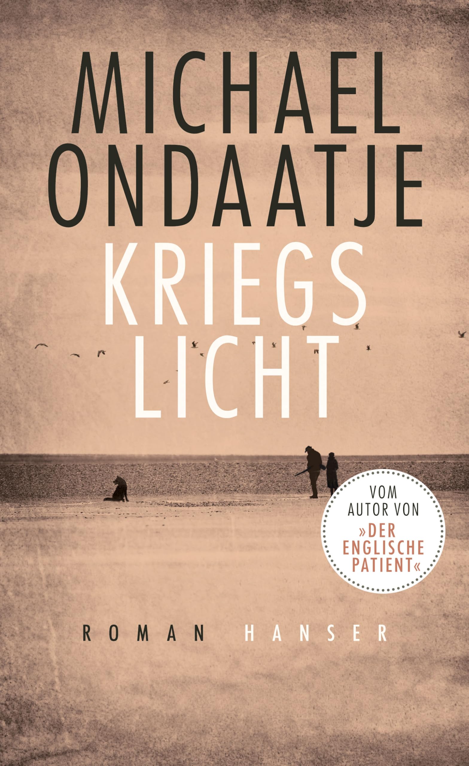 Kriegslicht Contemporary literature Books
