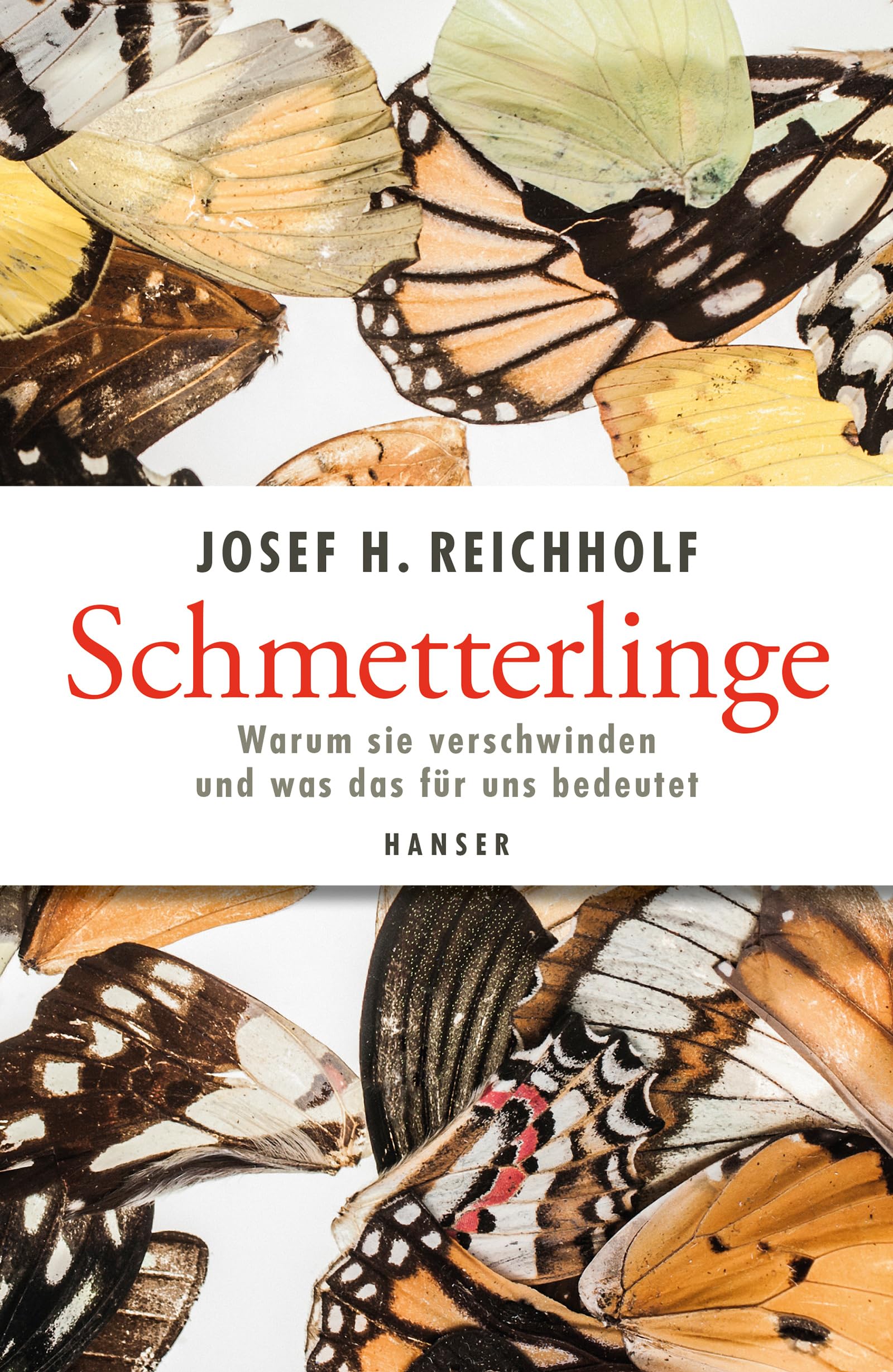 Schmetterlinge Mathematics Books