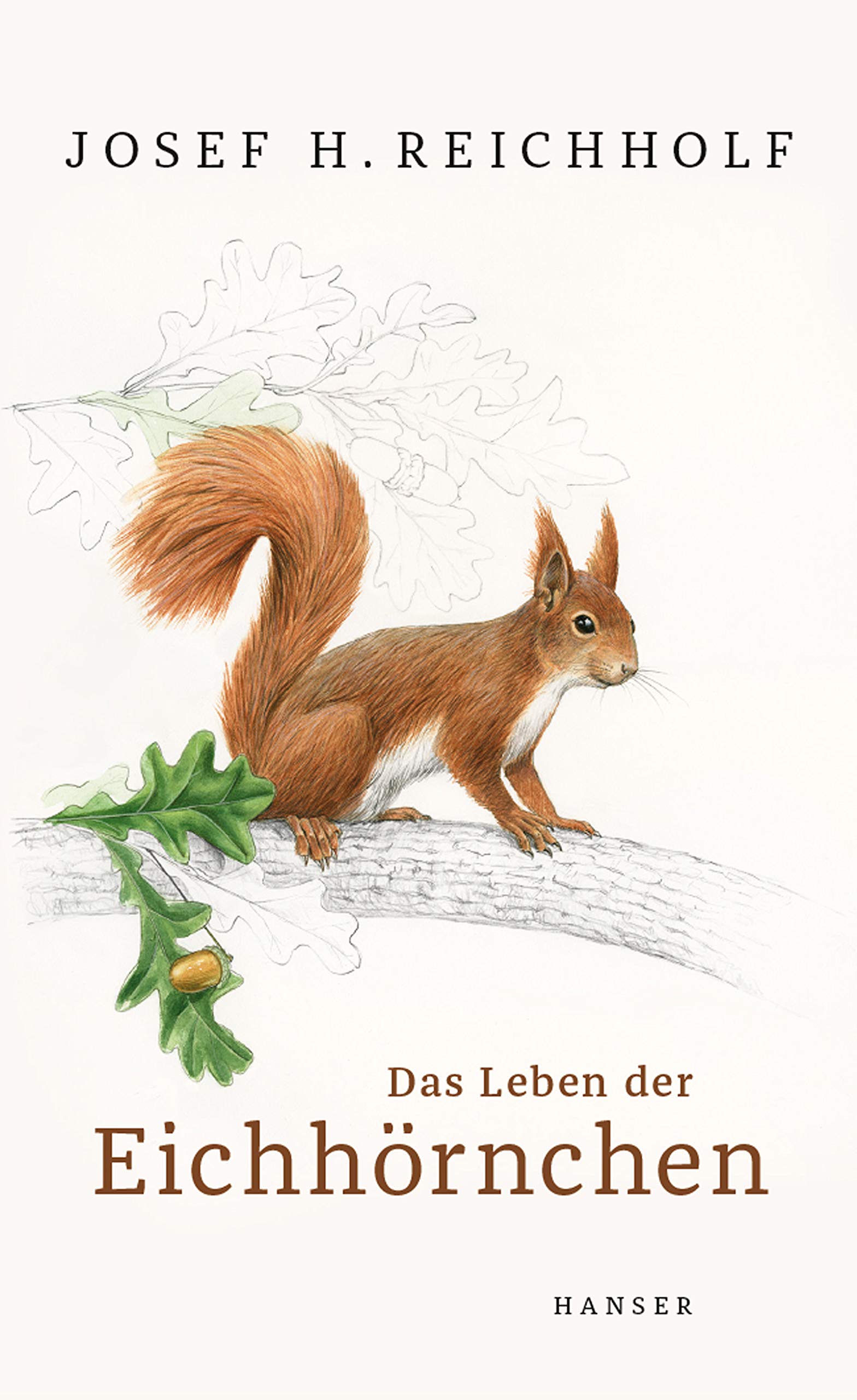 Das Leben der Eichhörnchen Architecture Books