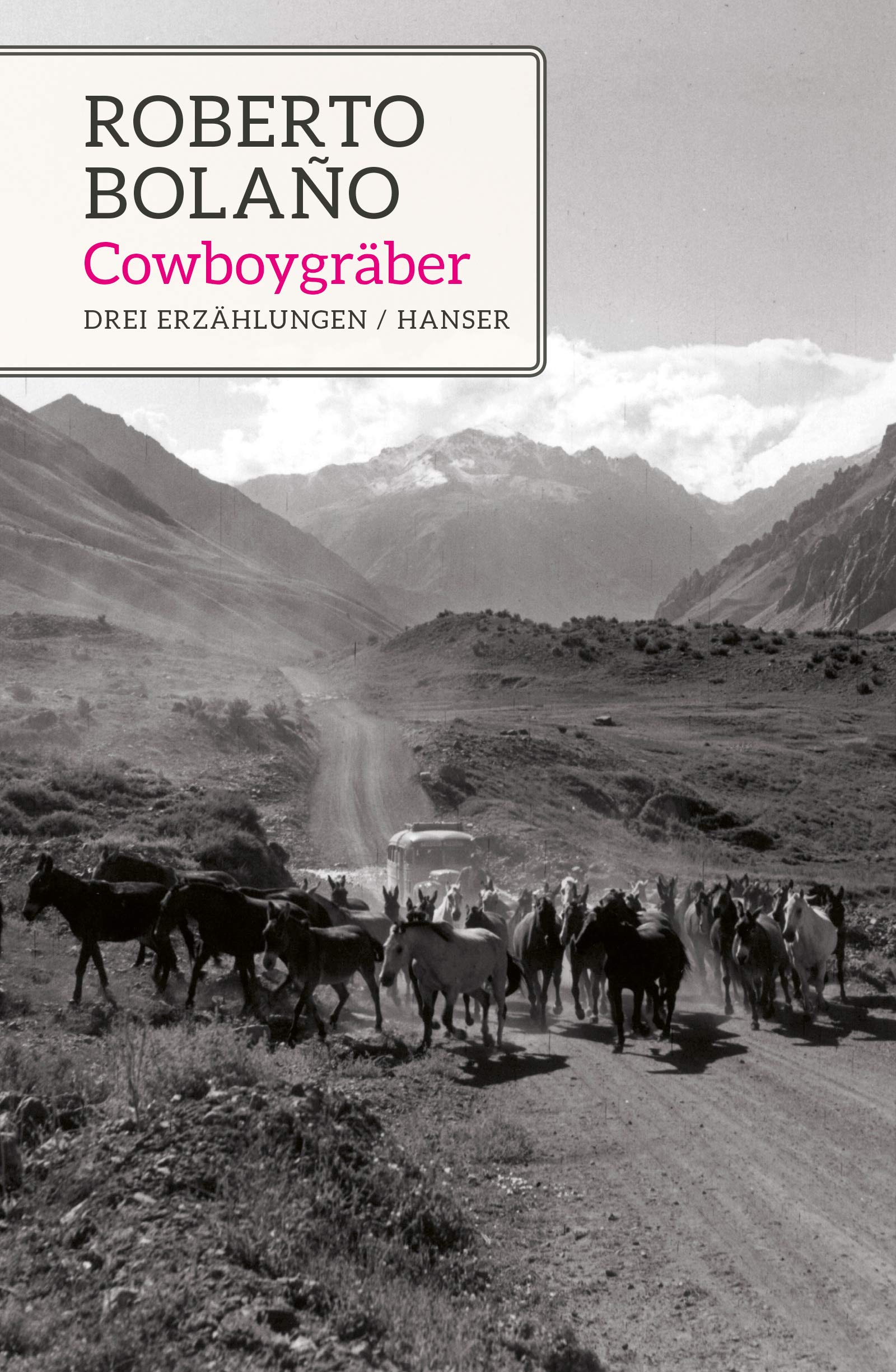 Cowboygräber: Drei Erzählungen Essays & Short Stories