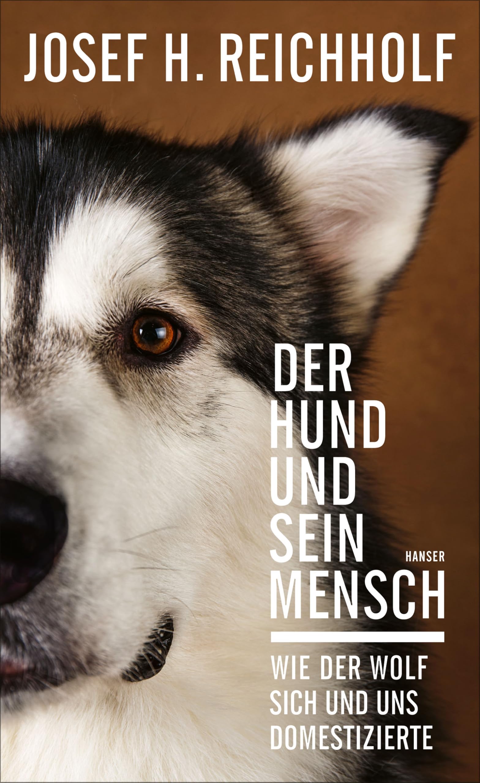 Der Hund und sein Mensch Medicine