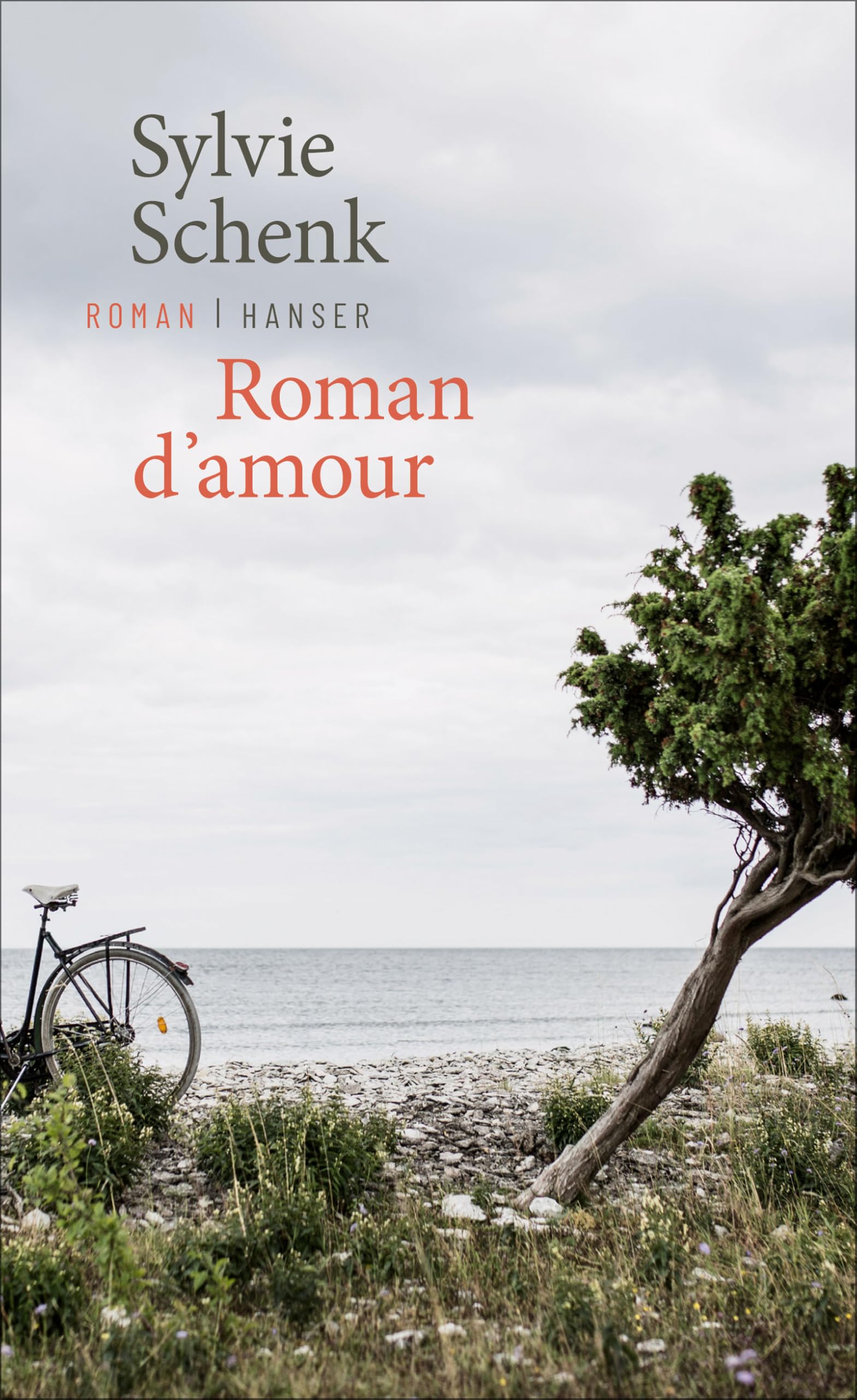 Roman d'amour Contemporary literature Books