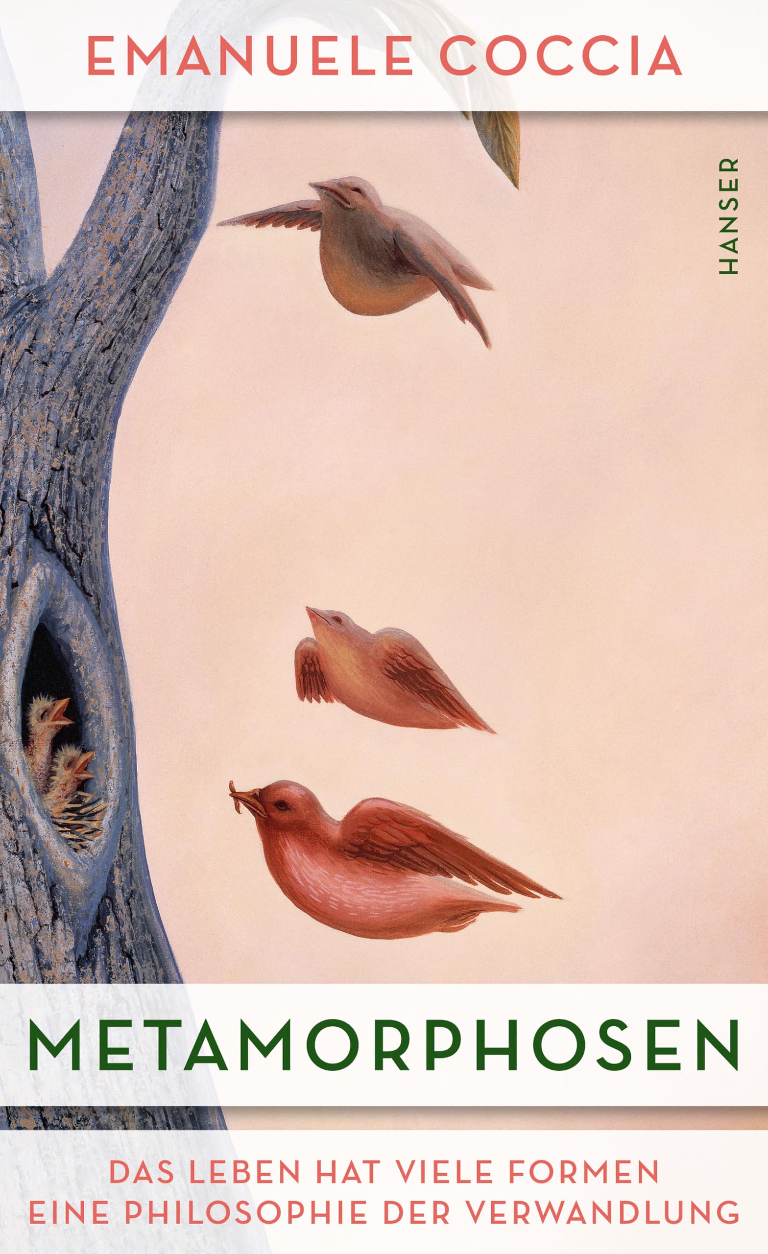 Metamorphosen Philosophy