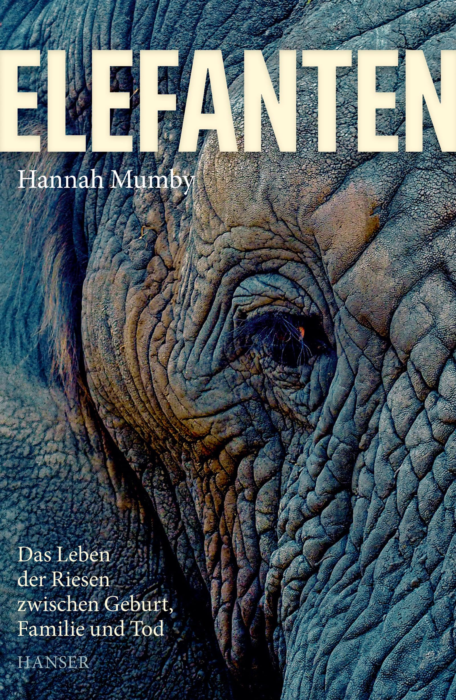 Elefanten Art & Literature Books