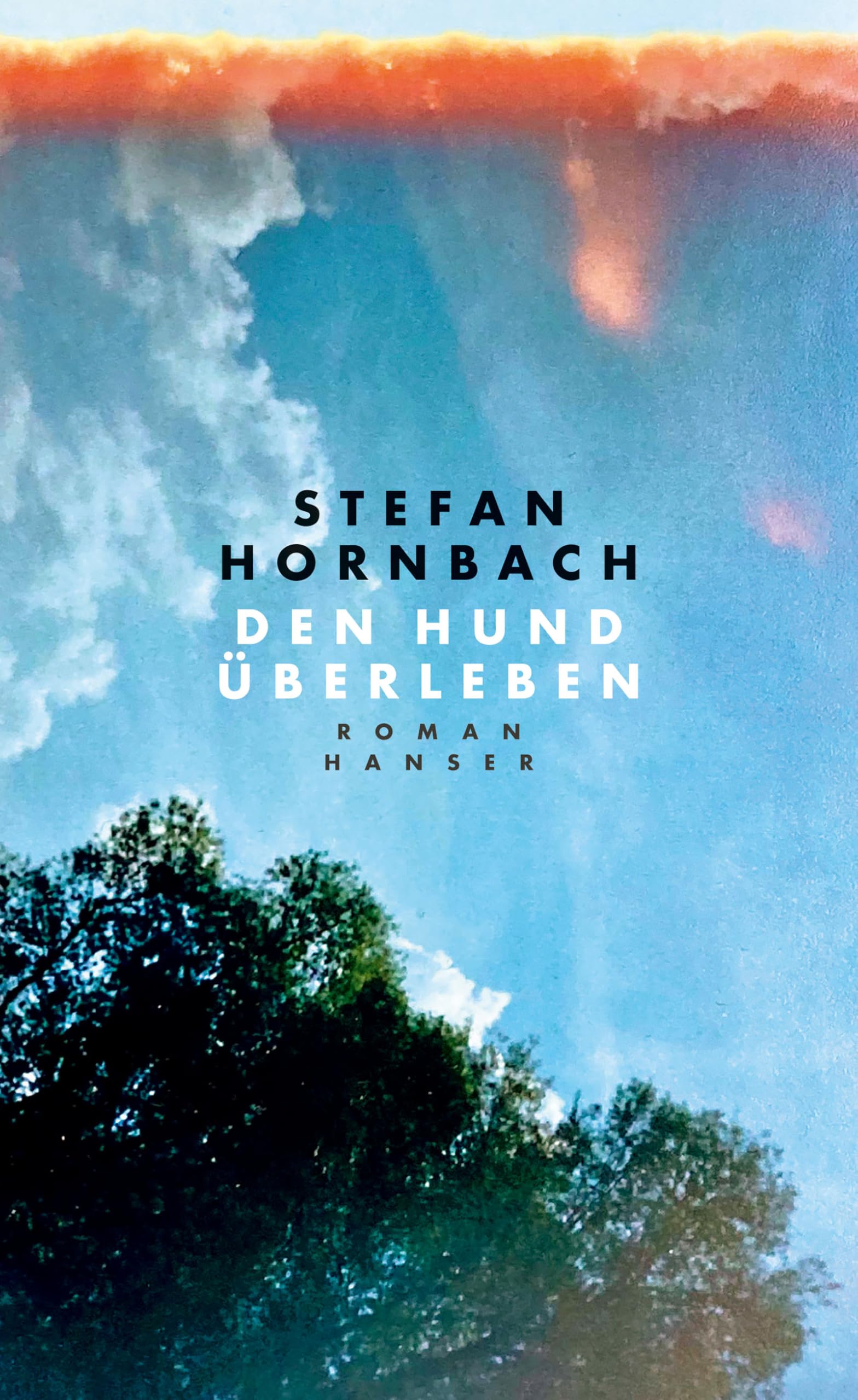Den Hund überleben Contemporary literature Books