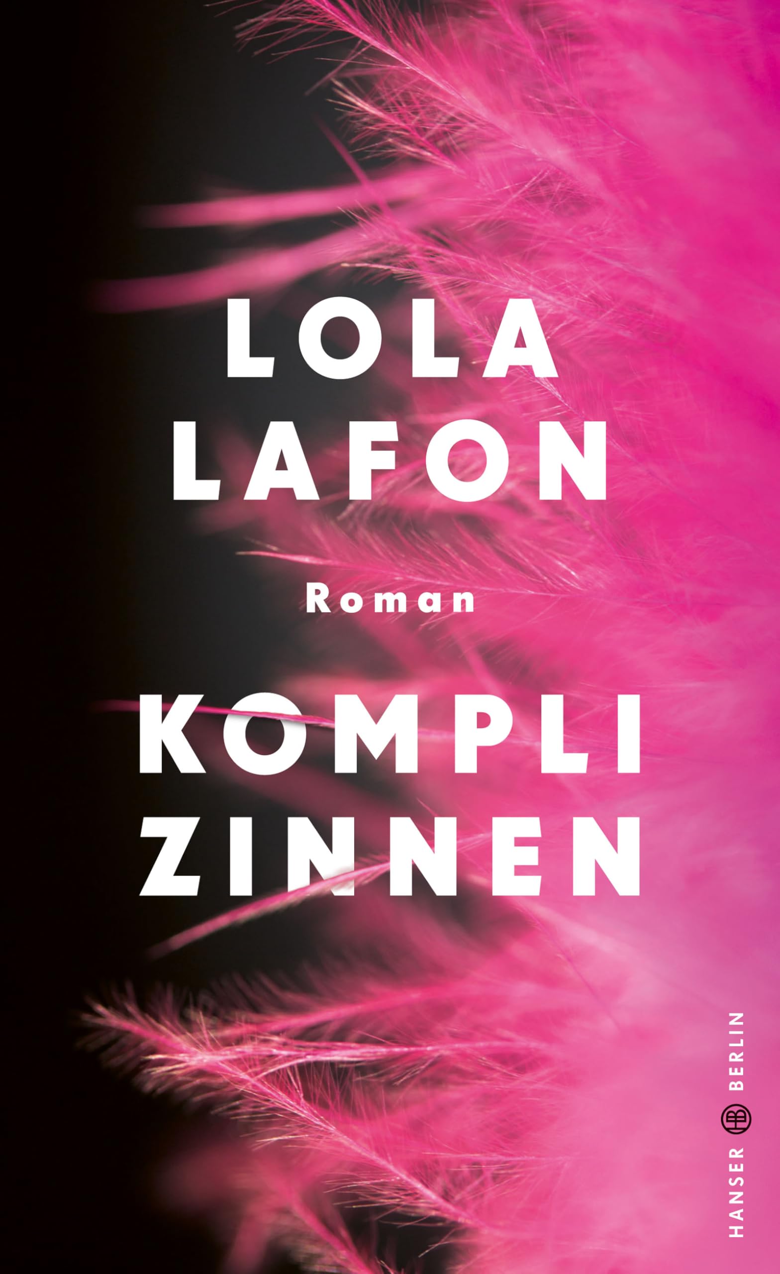 Komplizinnen Contemporary literature Books