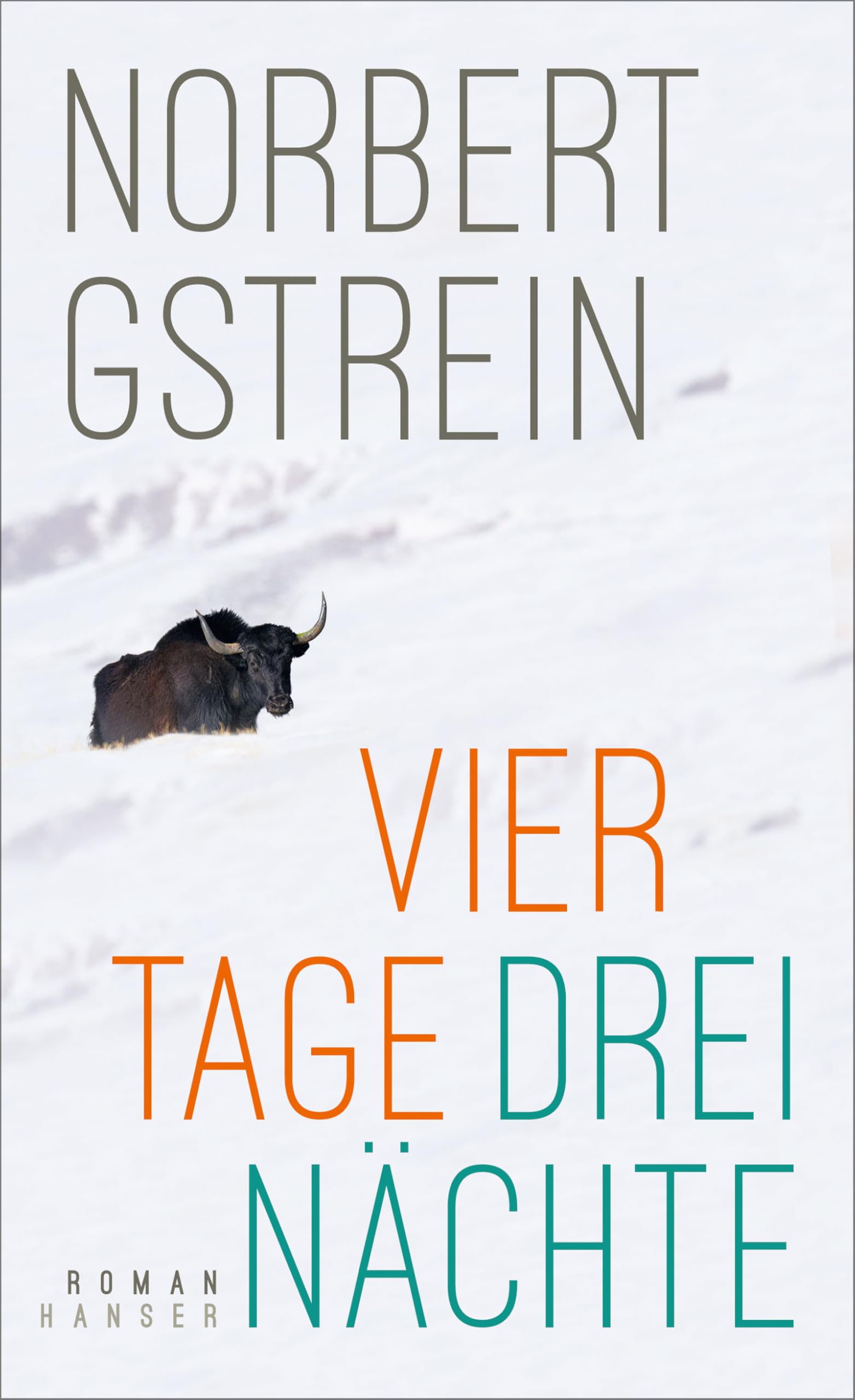 Vier Tage, drei Nächte: Roman Contemporary literature