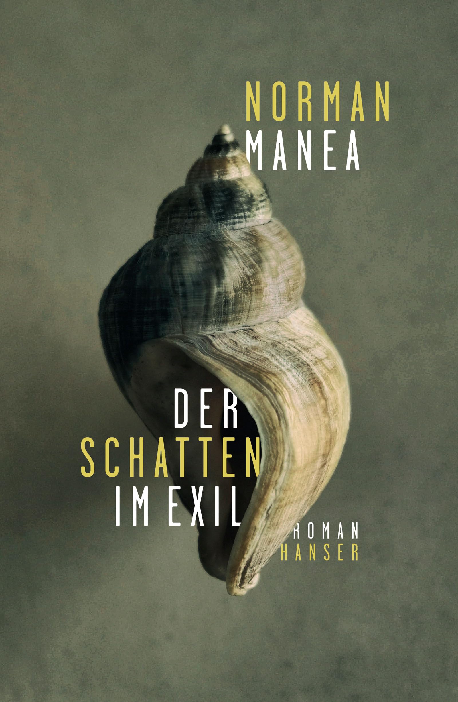 Der Schatten im Exil: Roman Contemporary literature
