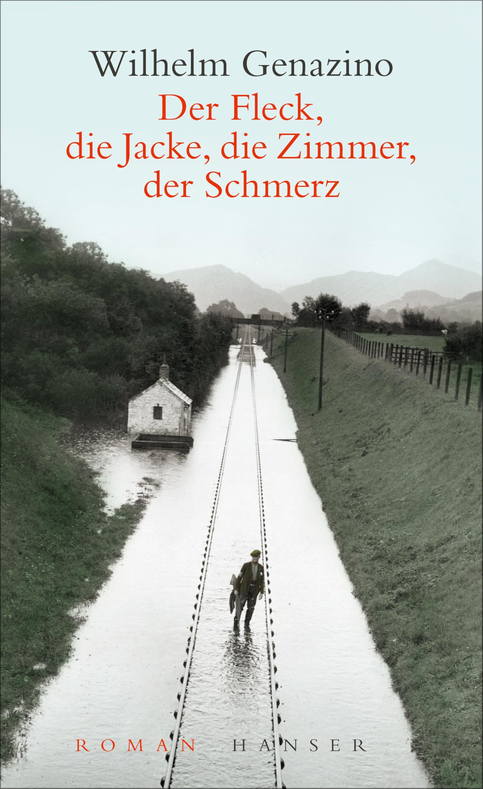 Der Fleck, die Jacke, die Zimmer, der Schmerz: Roman Contemporary literature