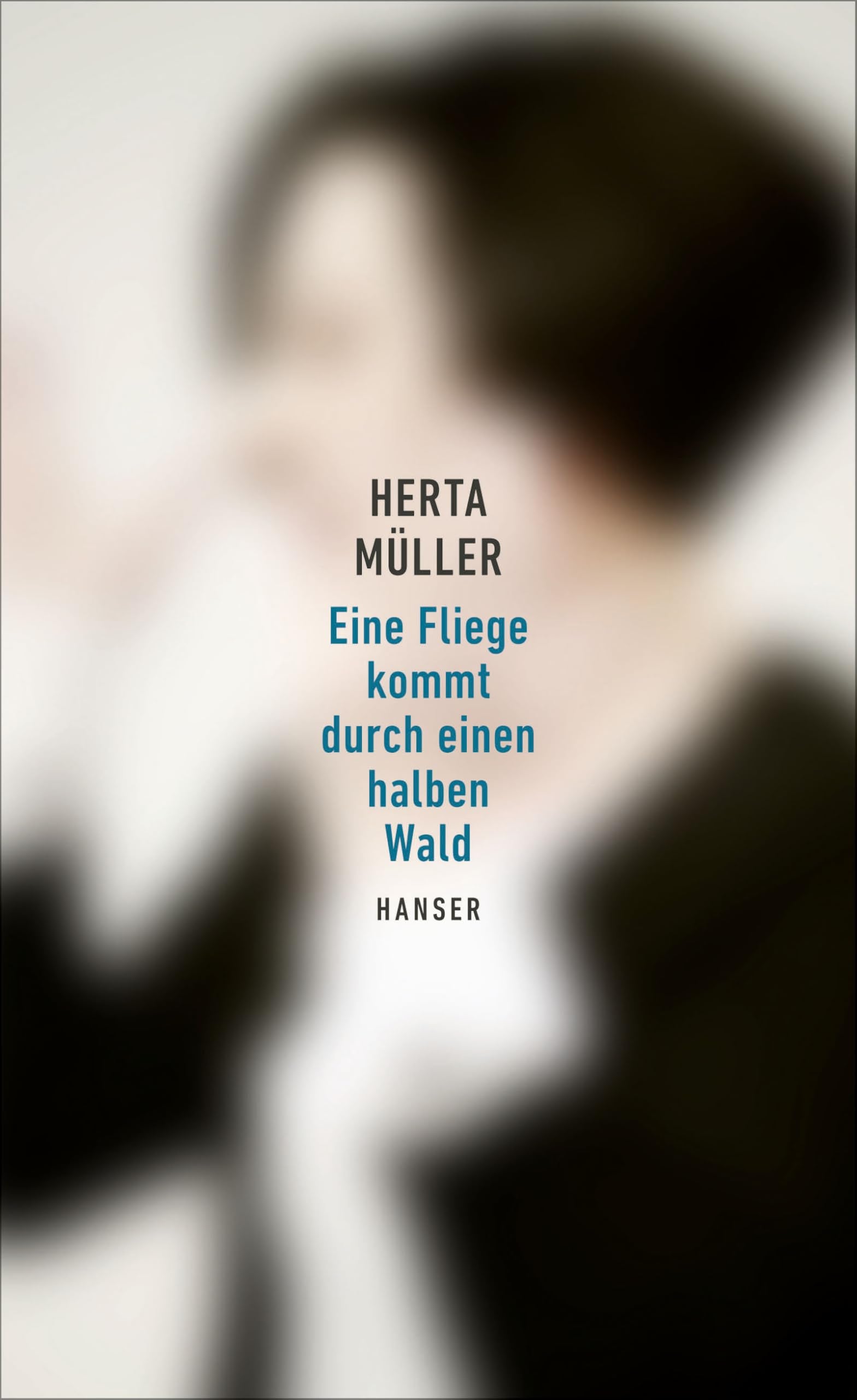 Eine Fliege kommt durch einen halben Wald Essays & Short Stories