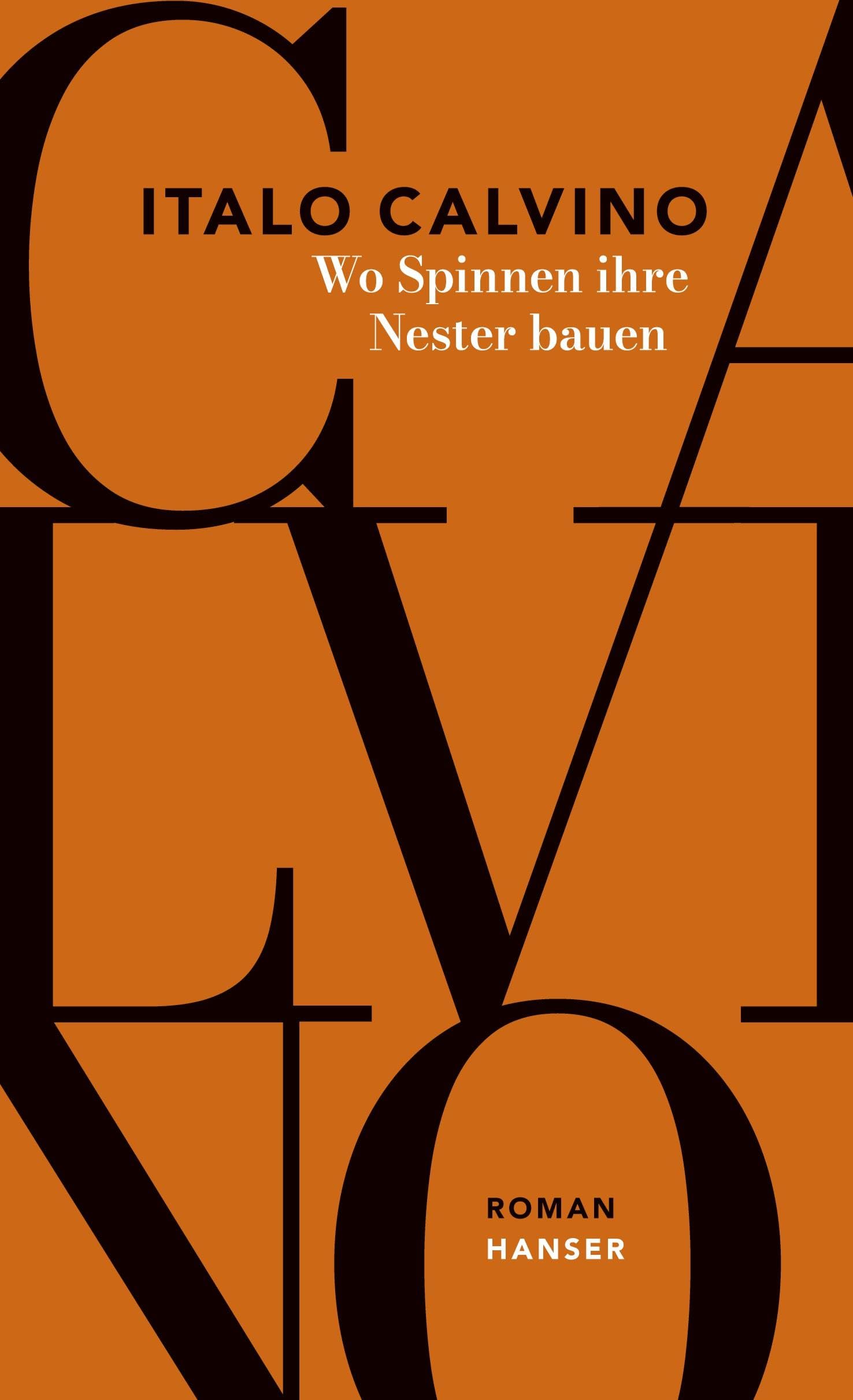 Wo Spinnen ihre Nester bauen Contemporary literature
