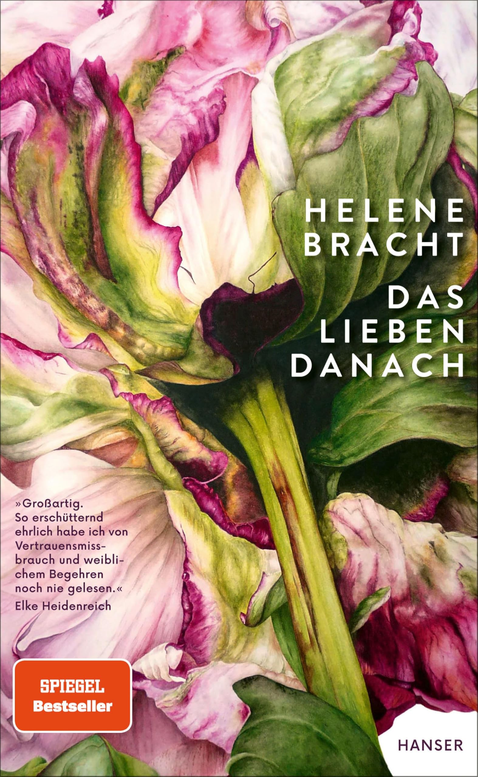 Product Image: Das Lieben danach